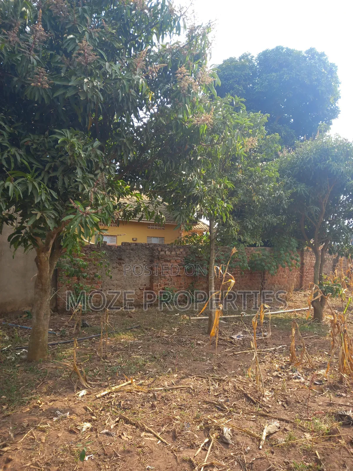 50x100 3 Plots for Sale in Kasangati Nangabo. in Central Division