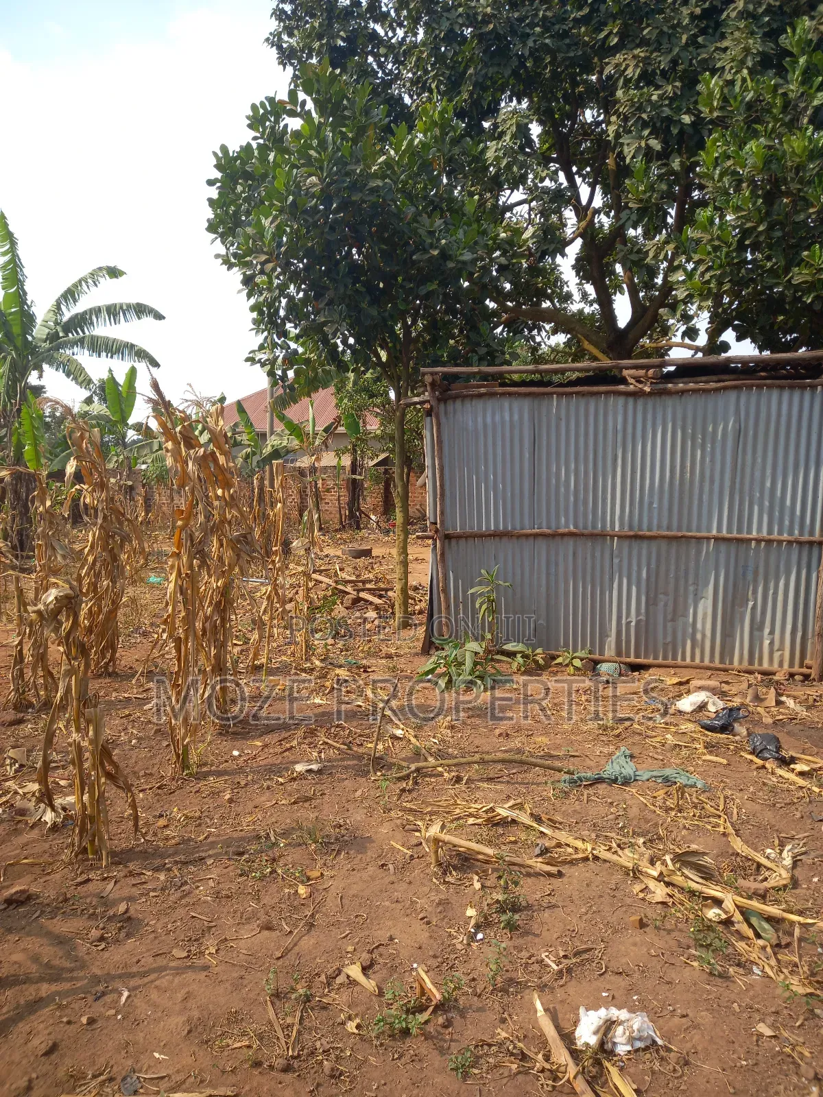 50x100 3 Plots for Sale in Kasangati Nangabo. in Central Division