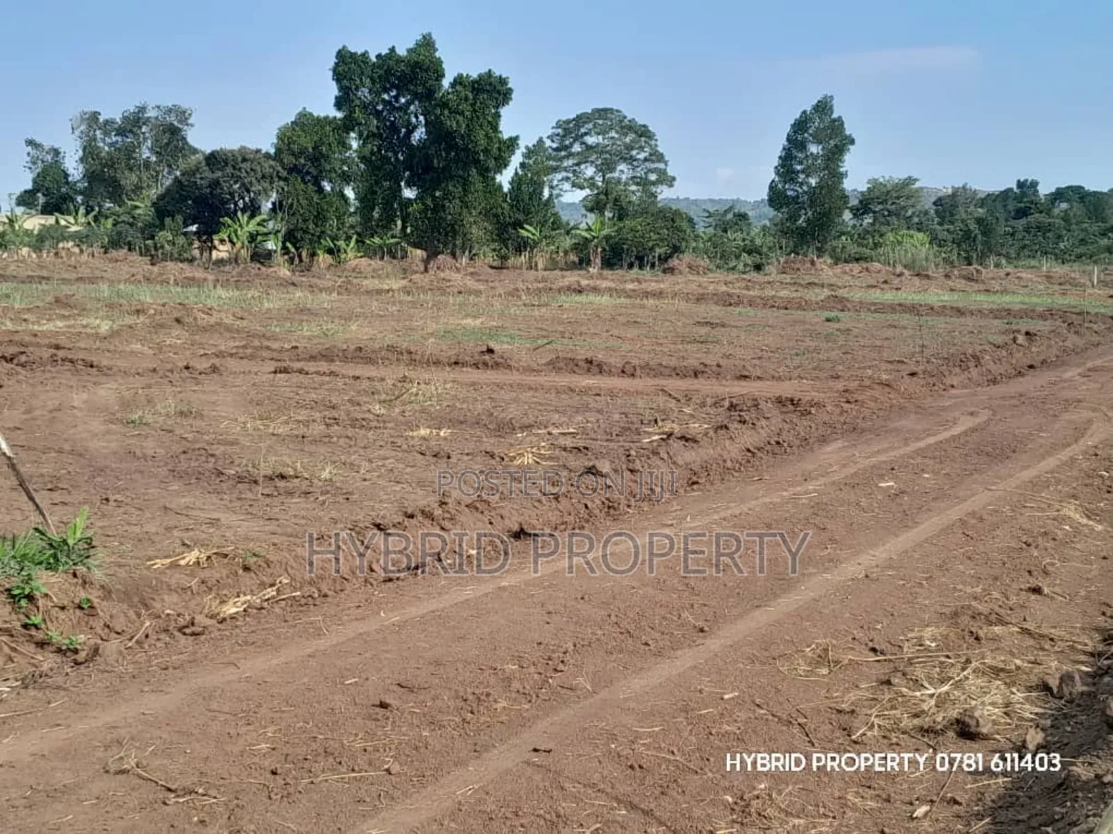 Prime Plots for Sale at Nampunge~Kakiri Kulya Show Estate~Hoima Road. in Kakiri