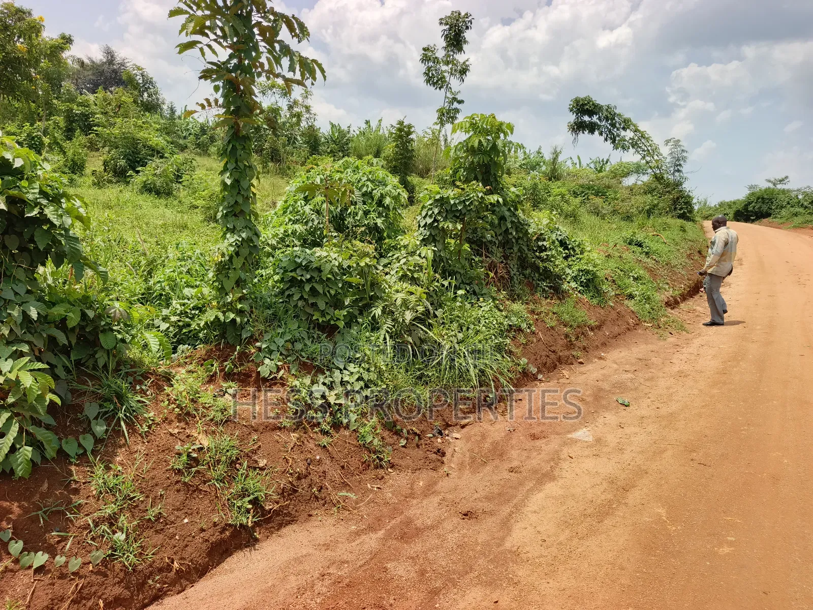 Commercial Plot on Sale in Kyenjojo