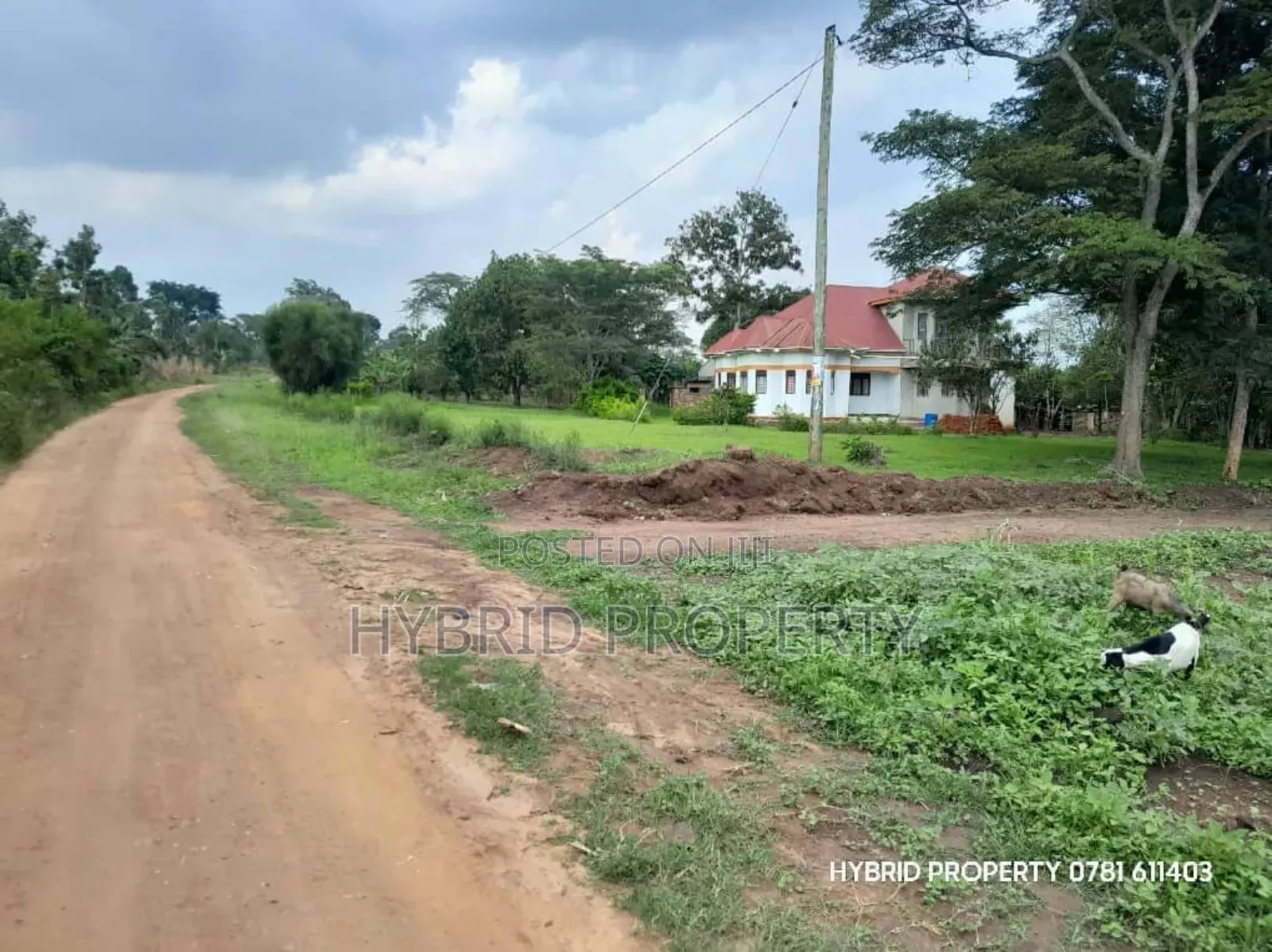Prime Plots for Sale at Matugga~Semuto Estate Along Matugga~Semuto Rd. in Luwero / Luwero