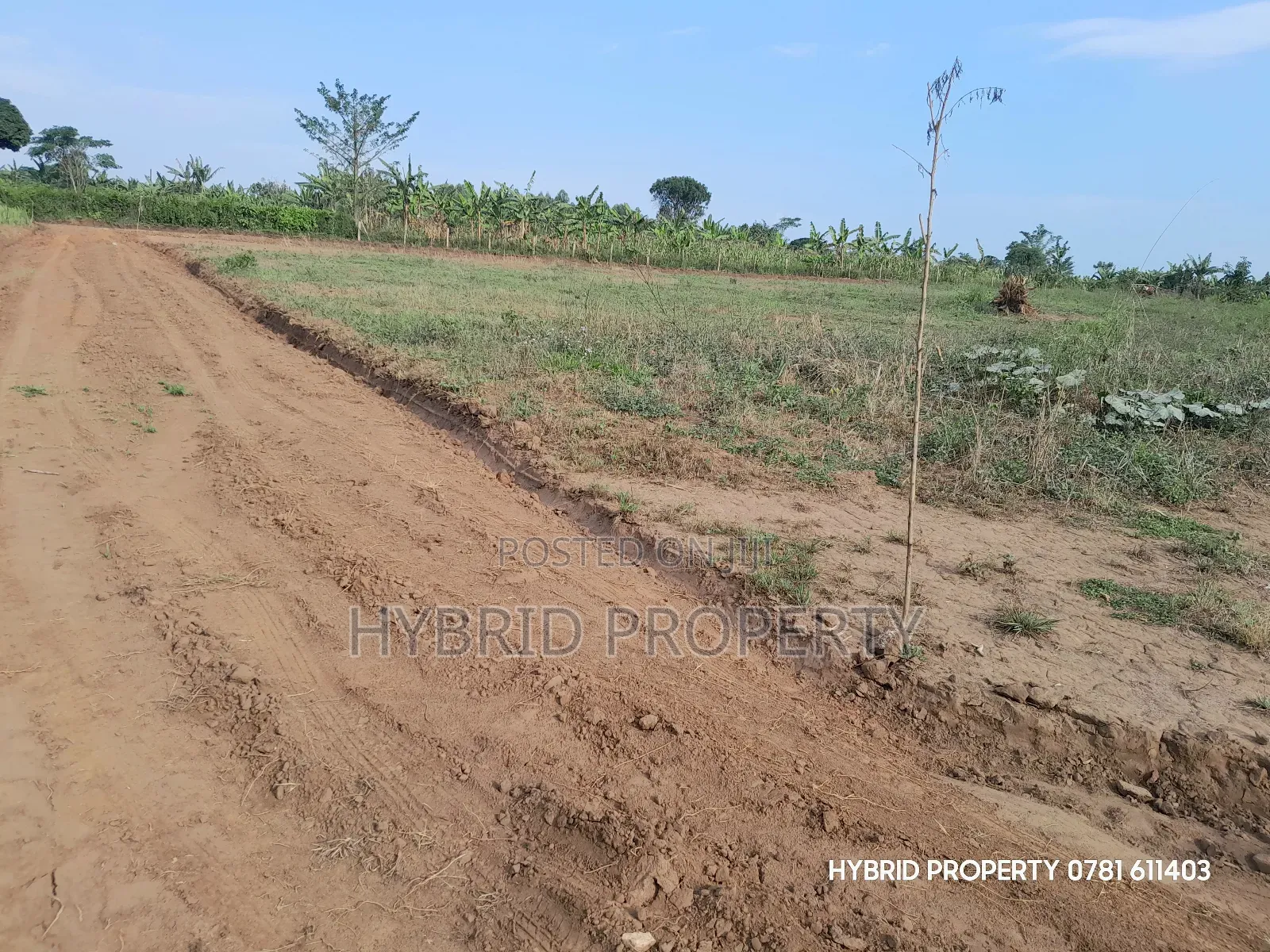 Prime Plots for Sale at Kakiri~Nampunge Divine Estate Along Hoima Road in Kakiri