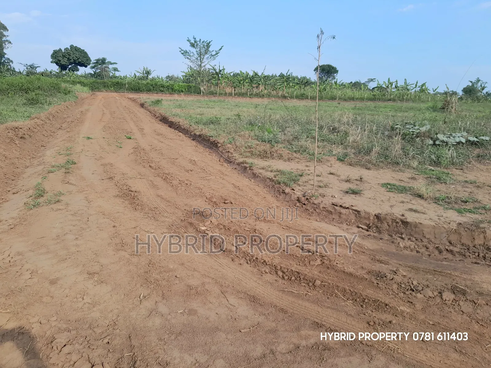 Prime Plots for Sale at Kakiri~Nampunge Divine Estate Along Hoima Road in Kakiri