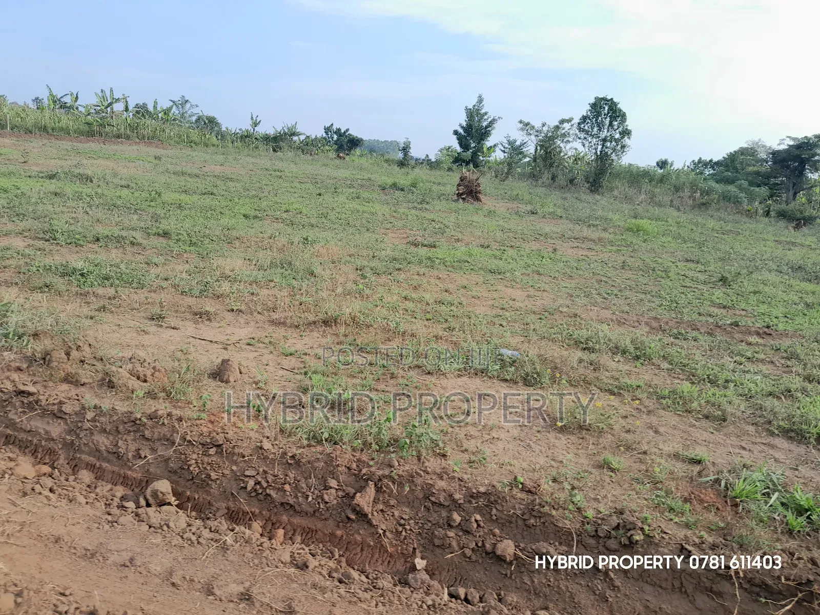 Prime Plots for Sale at Kakiri~Nampunge Divine Estate Along Hoima Road in Kakiri