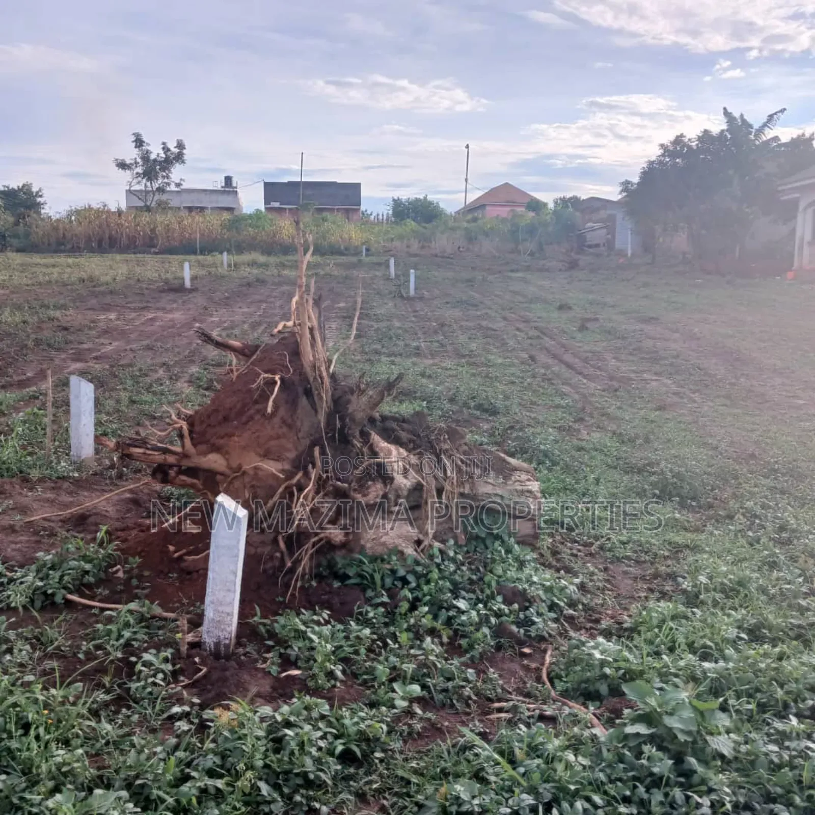 Very Classic Titled Plot on Quicksale in Heart of Bulenga Heights in Central Division