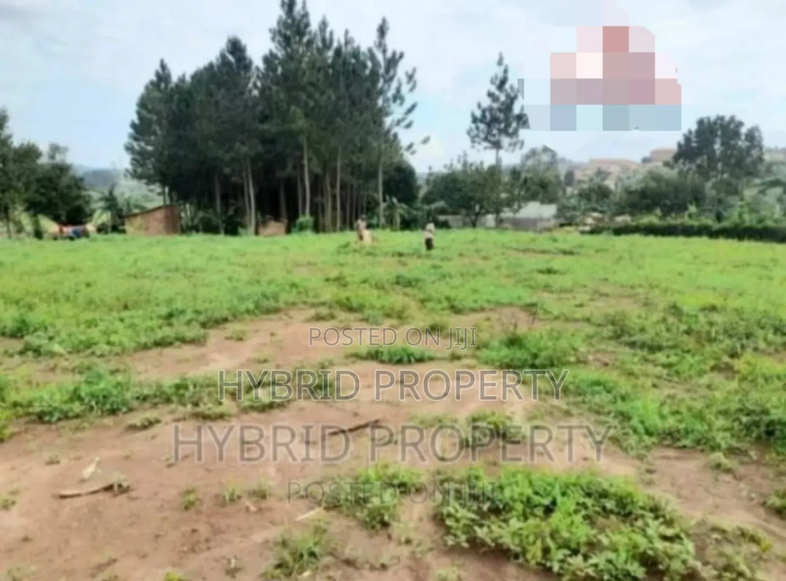 Plots For Sale At Our Kalambi~Kiwumu Land Estate~Mityana Rd. in Wakiso / Wakiso