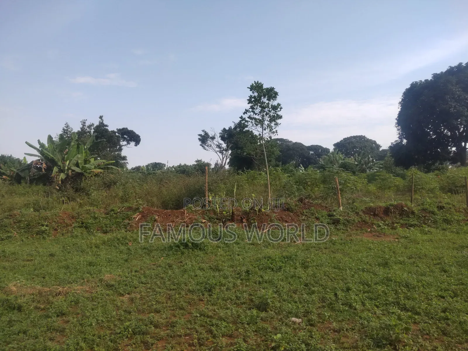 Bussi Island Farming And Residential Plots in Kasanje
