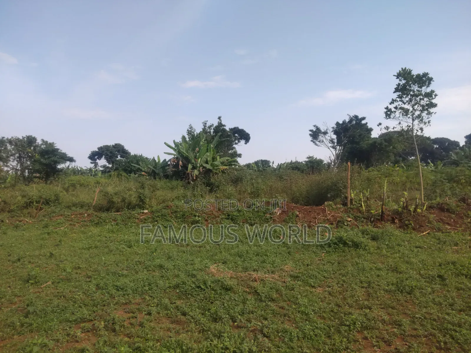 Bussi Island Farming And Residential Plots in Kasanje