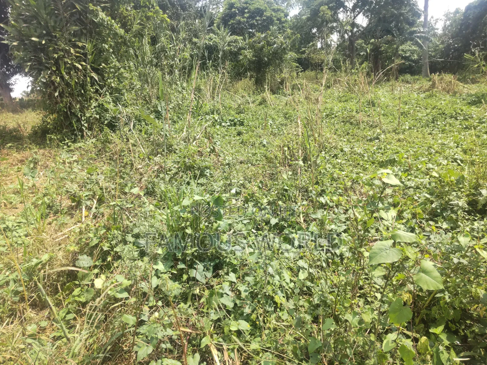 Bussi Island Farming And Residential Plots in Kasanje