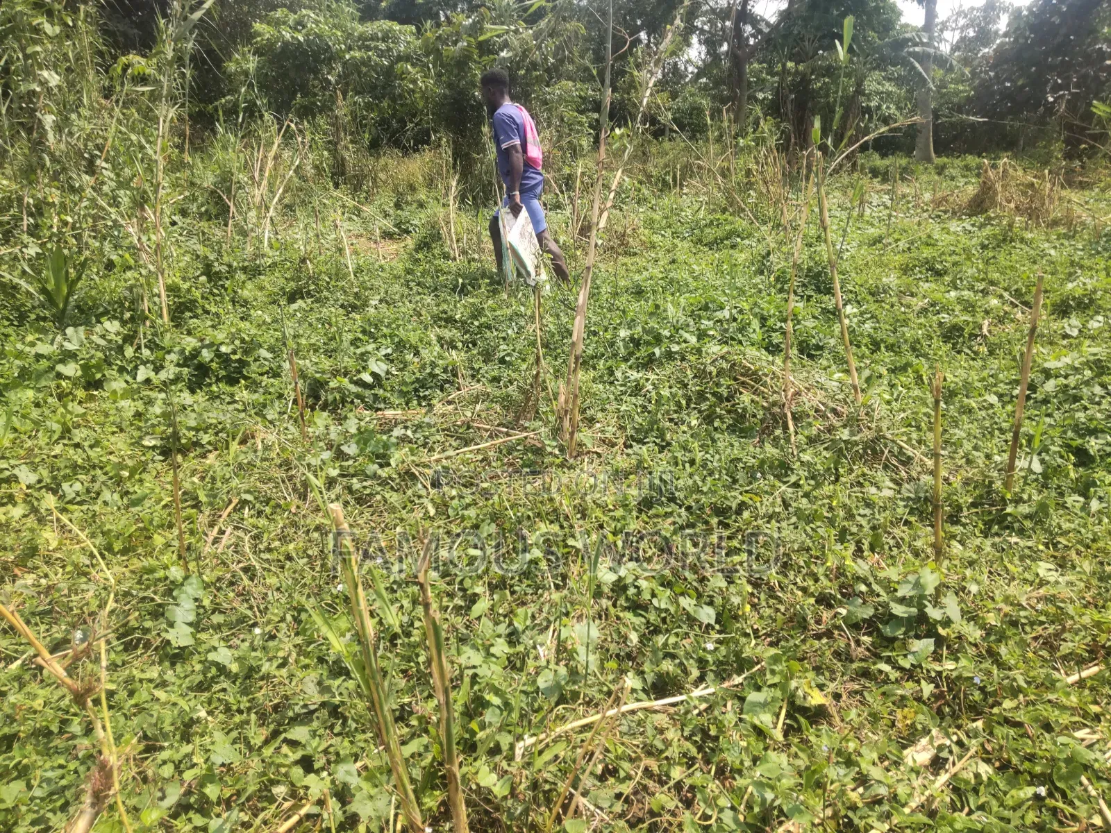 Bussi Island Farming And Residential Plots in Kasanje