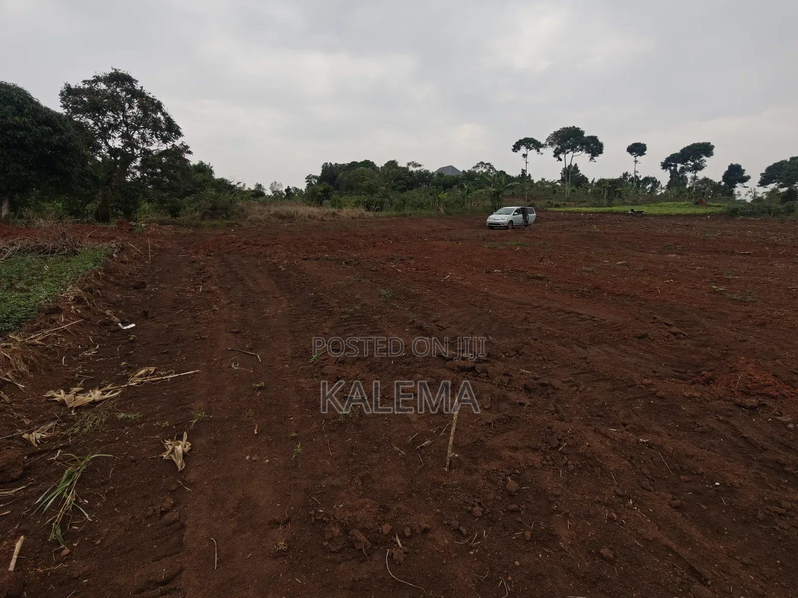 Private Milo Land With Ready Titles in Mpigi / Mpigi