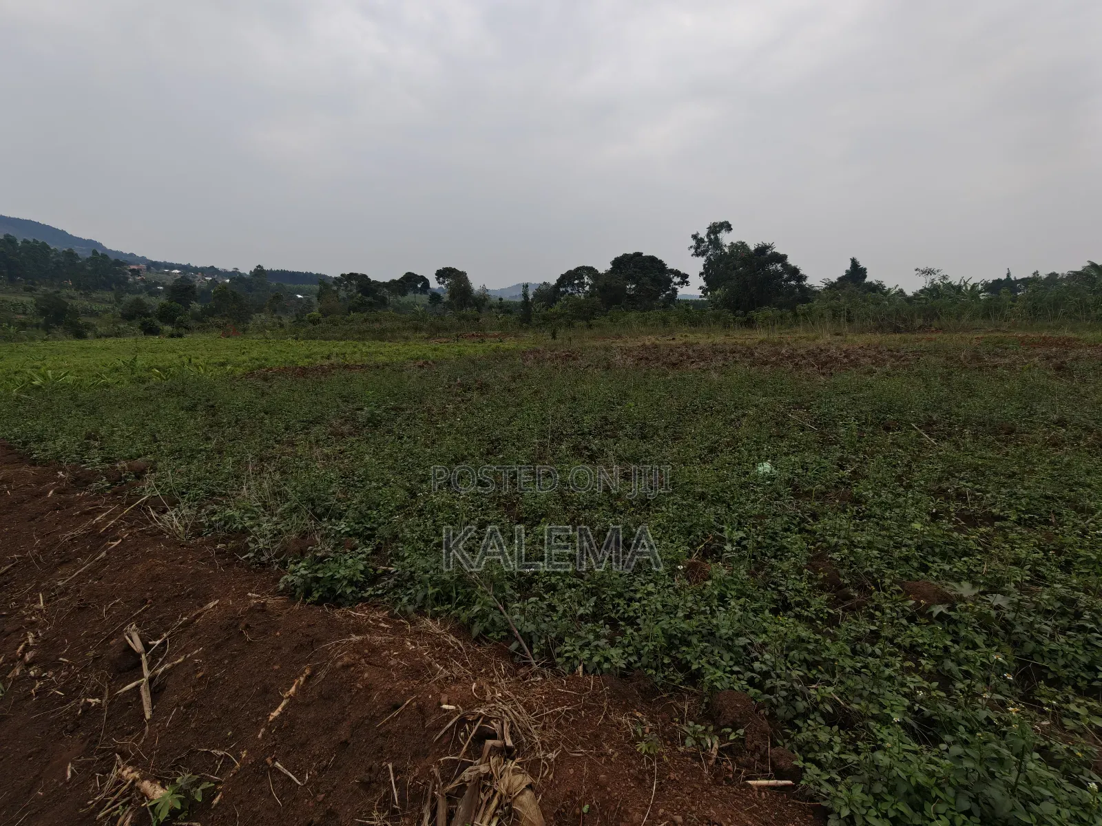 Katende Lungala Private Milo With Land Titles in Mpigi / Mpigi
