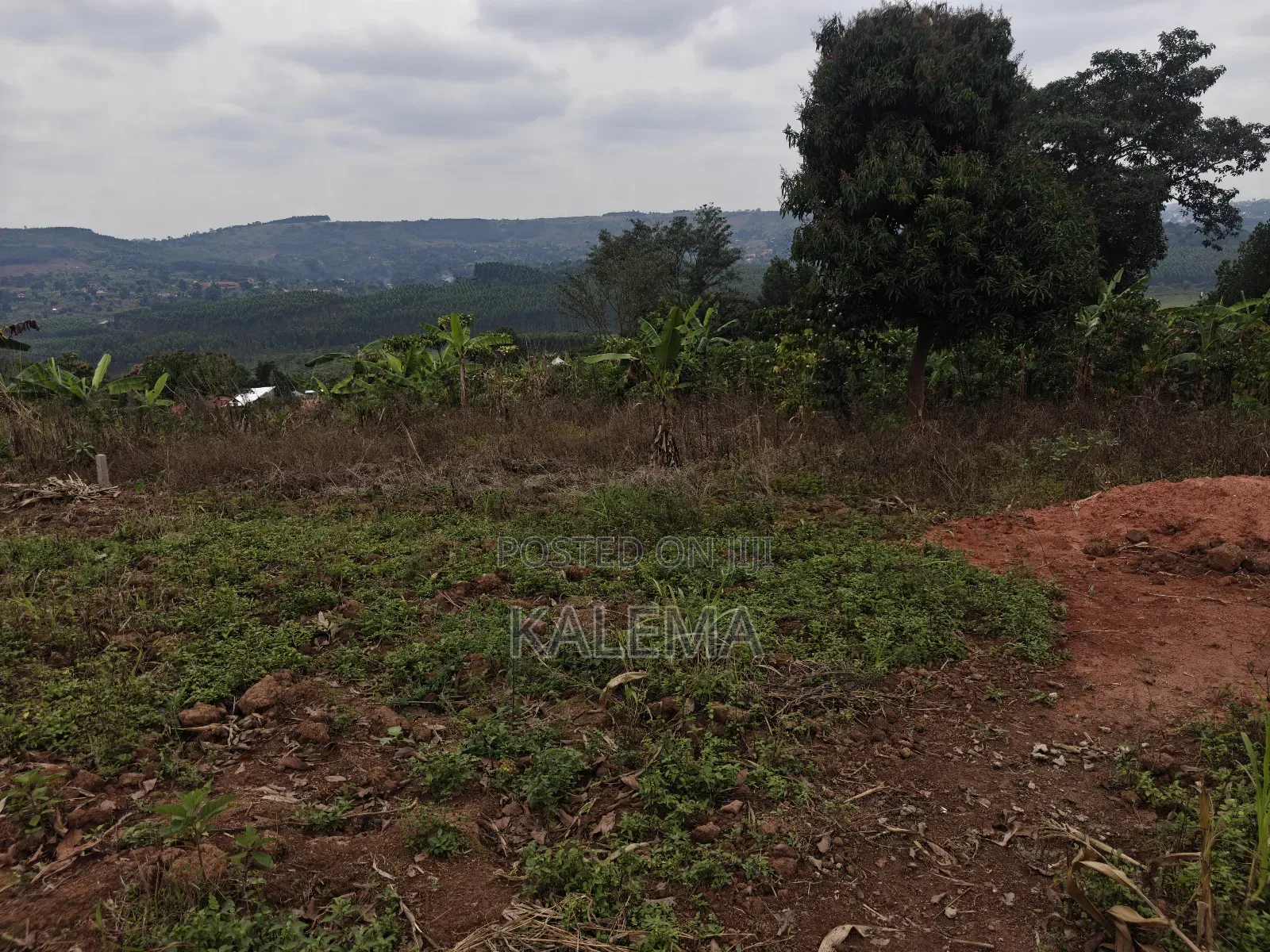 Nsangi Plot With Ready Land Tiles in Nsangi