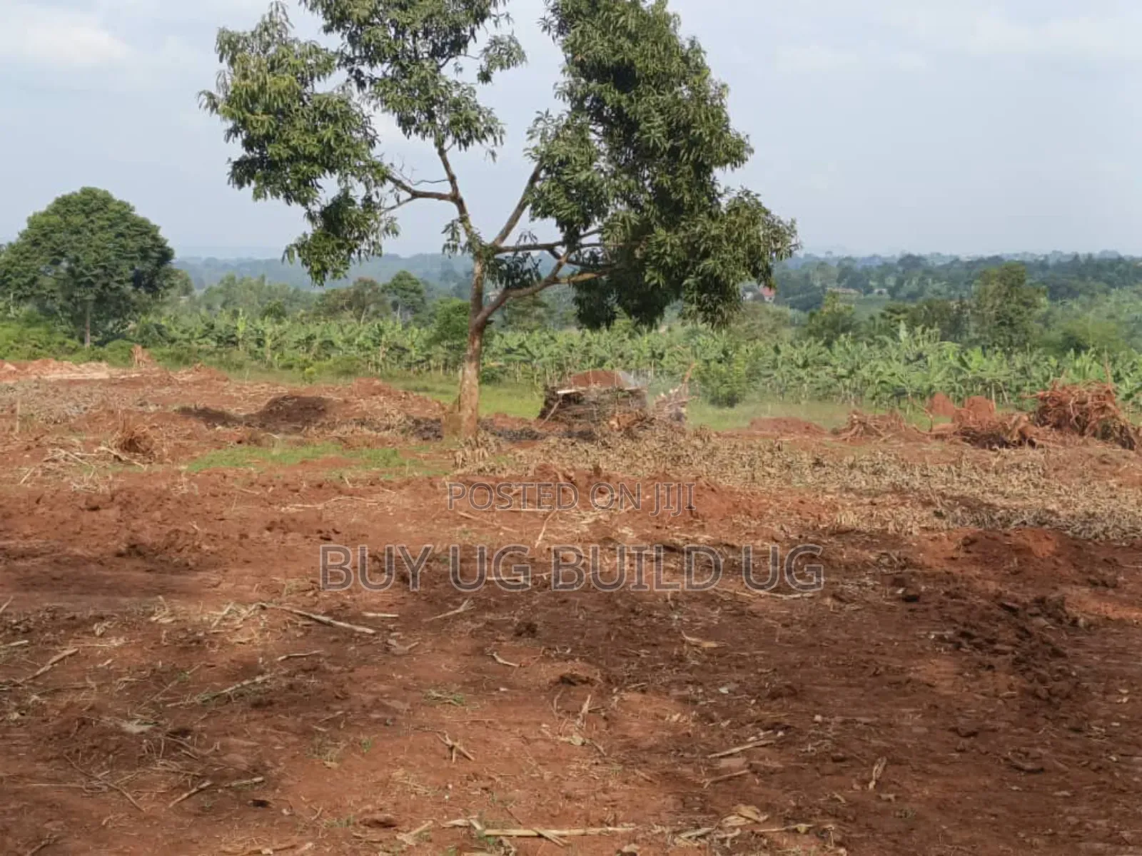 Prime Plots for Sale Located at Kabembe Off Mukono Kayunga Rd 25m in Mukono TC