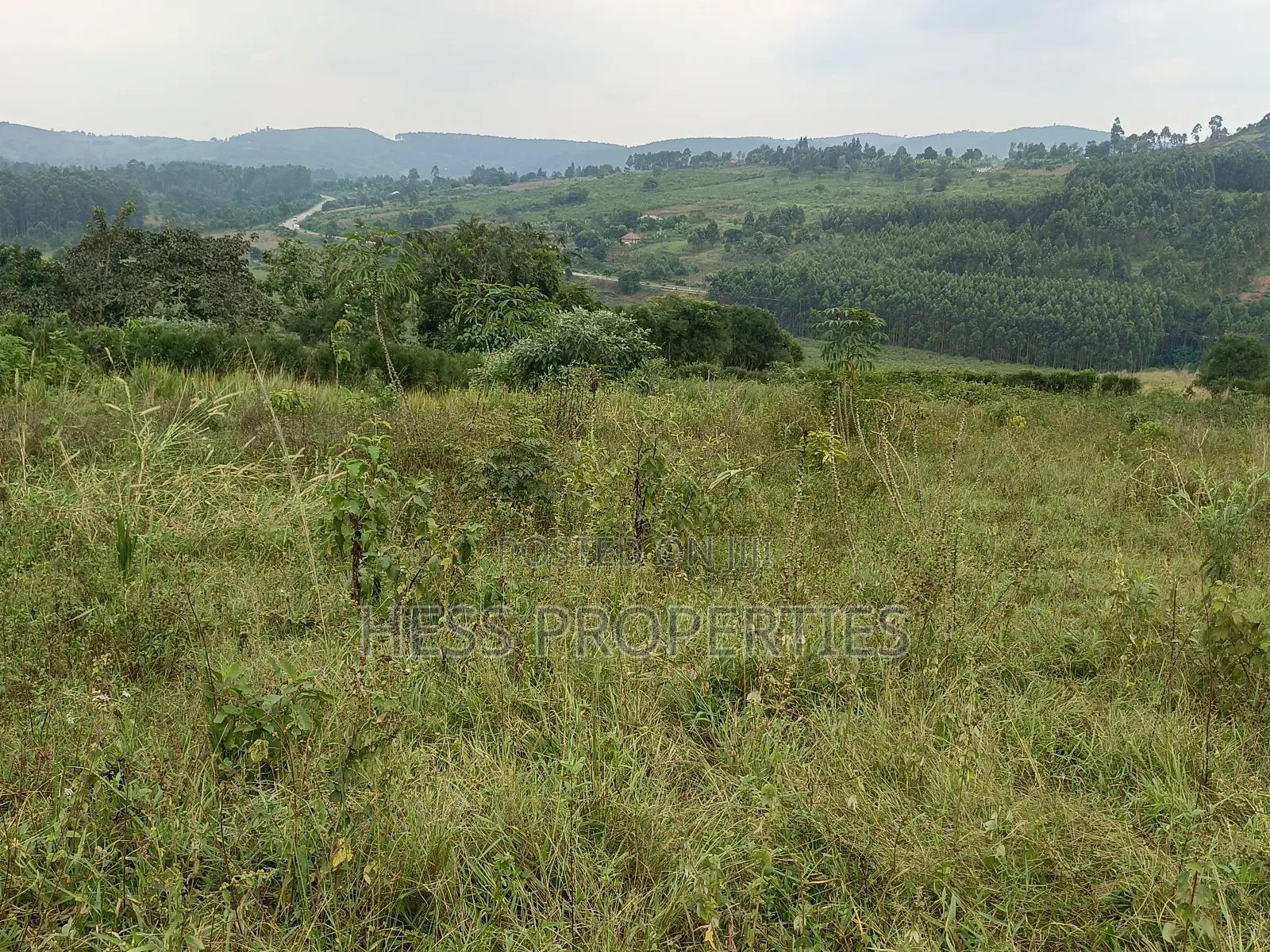 Commercial Land on Sale in Kyenjojo