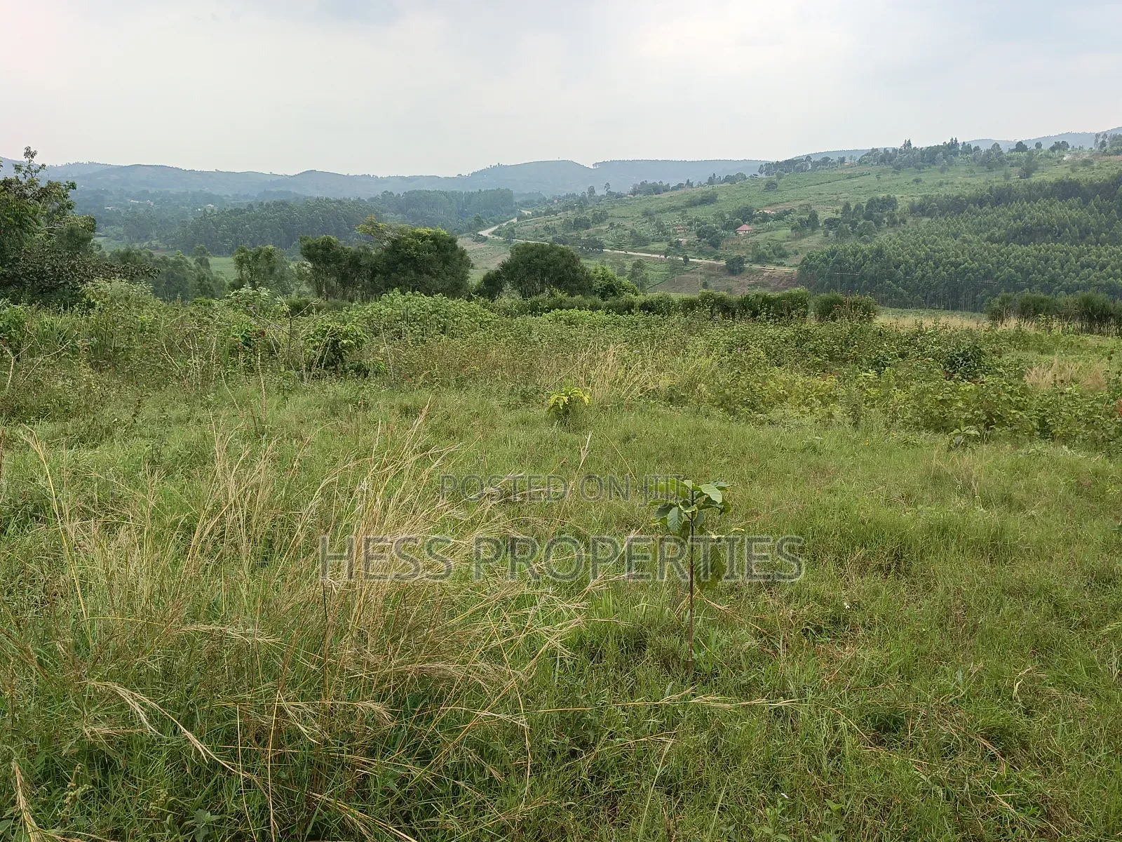 Commercial Land on Sale in Kyenjojo