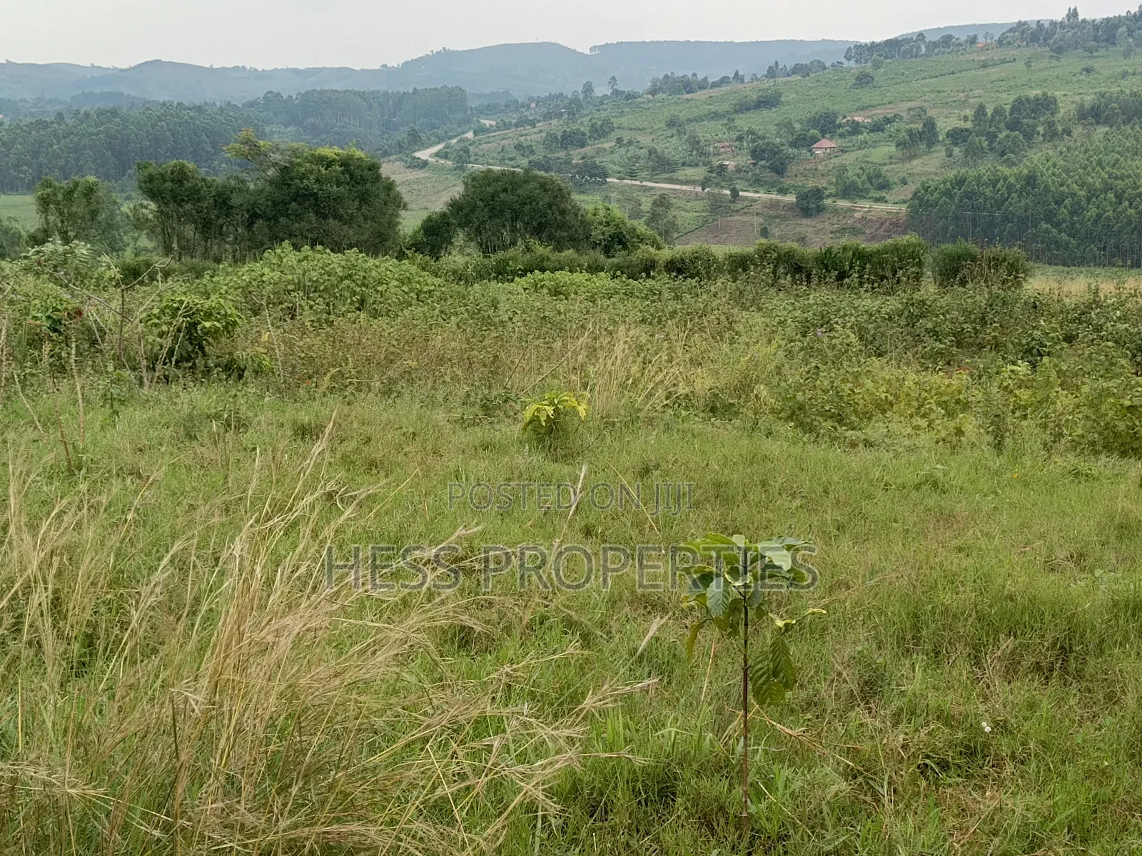 Commercial Land on Sale in Kyenjojo
