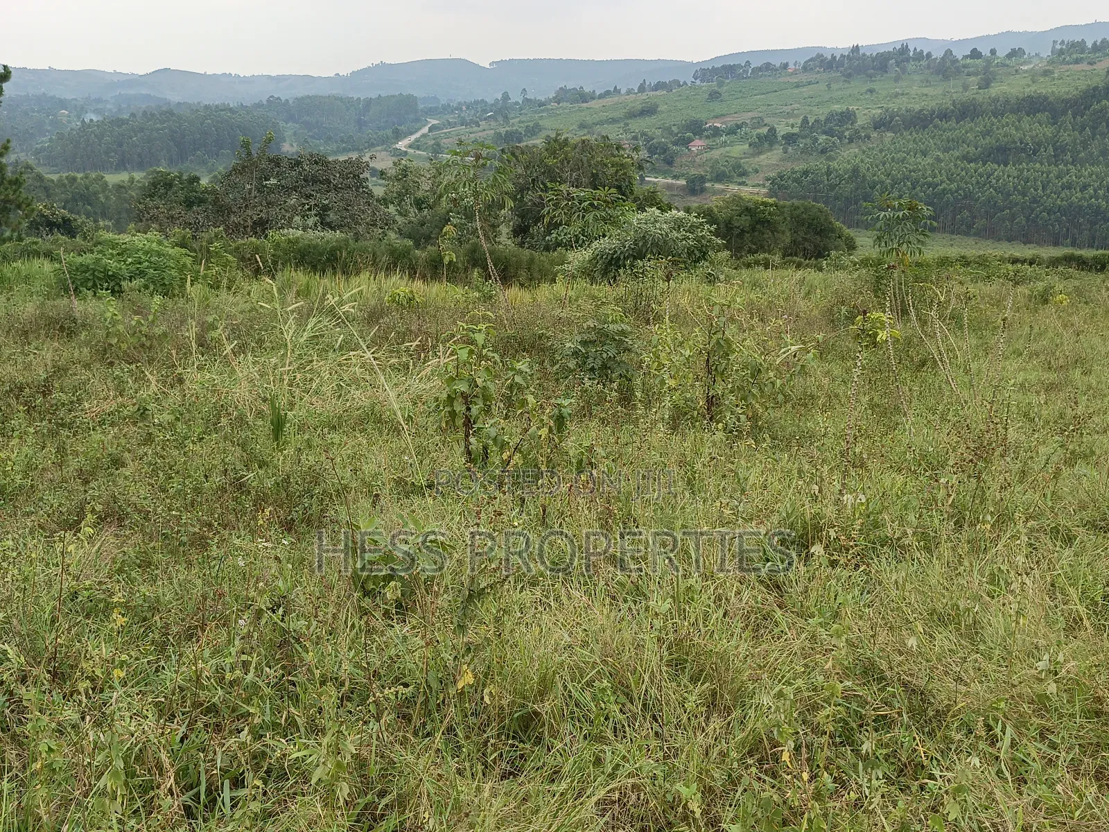 Commercial Land on Sale in Kyenjojo