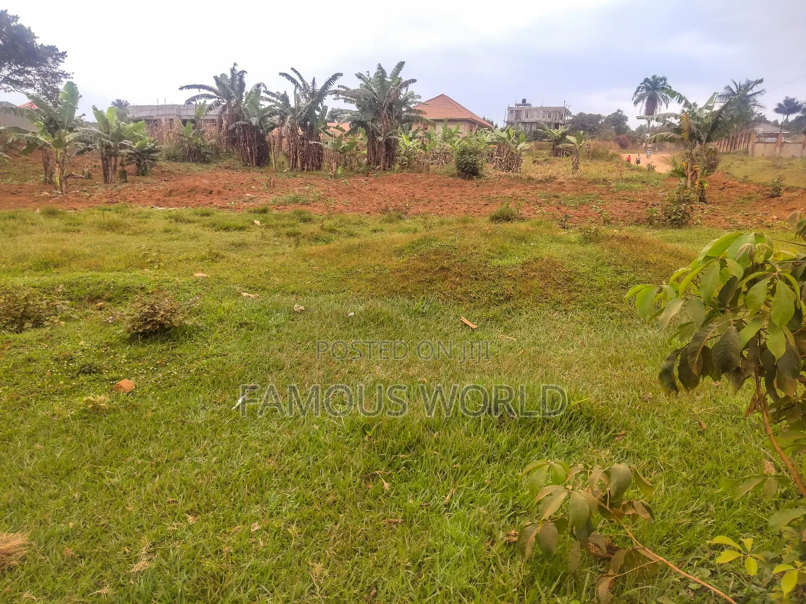 Nkumba Road Side Plot on Sale 140ft by 50ft on Kasenyi Main Road in Katabi