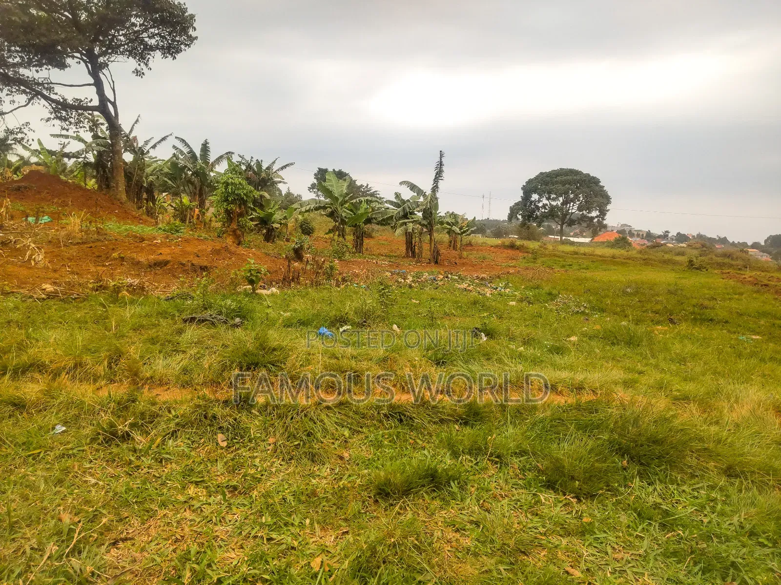 Nkumba Road Side Plot on Sale 140ft by 50ft on Kasenyi Main Road in Katabi