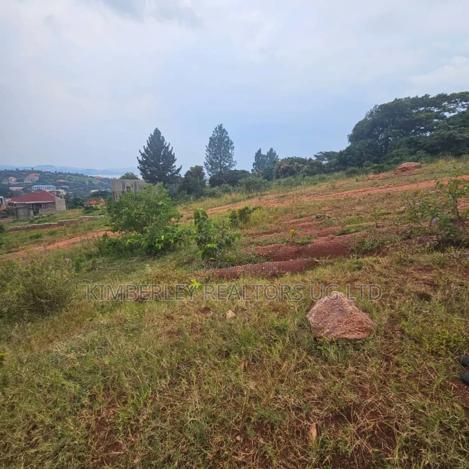Muyenga Hill Road, Muyenga Kampala: 14 Decimals Plot for Sale at 450m in Division A