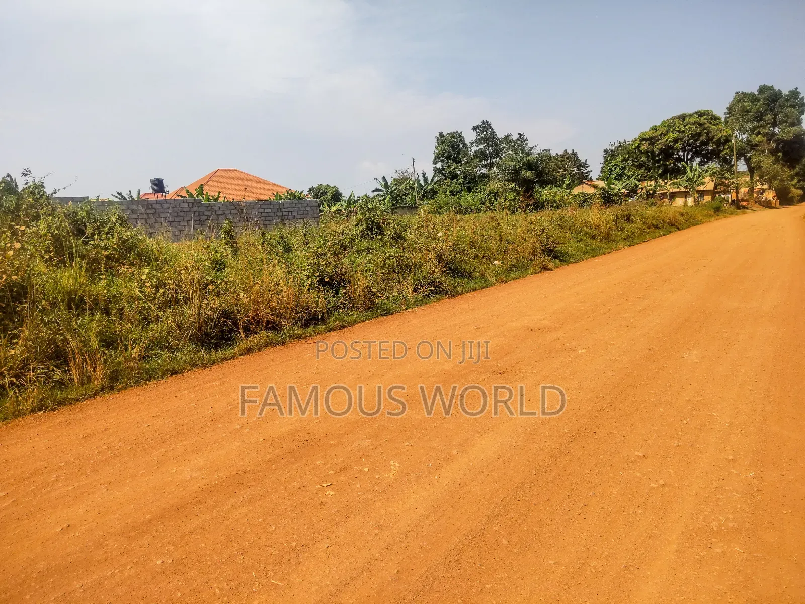 Nkumba Kigero Kasenyi Road Side 100 by 50 Mailo Titled Land on Sale in Katabi