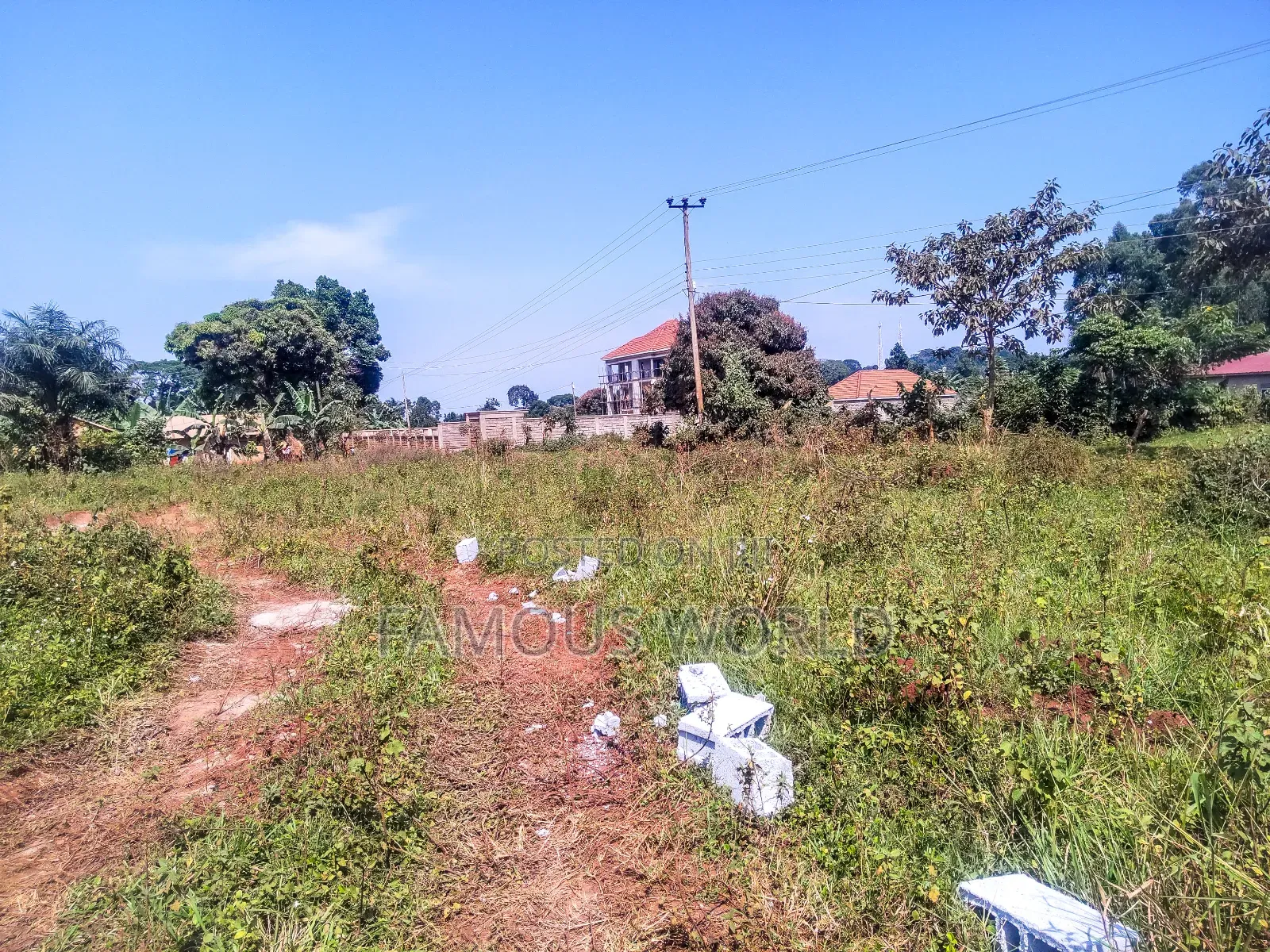 Nkumba Kigero Kasenyi Road Side 100 by 50 Mailo Titled Land on Sale in Katabi