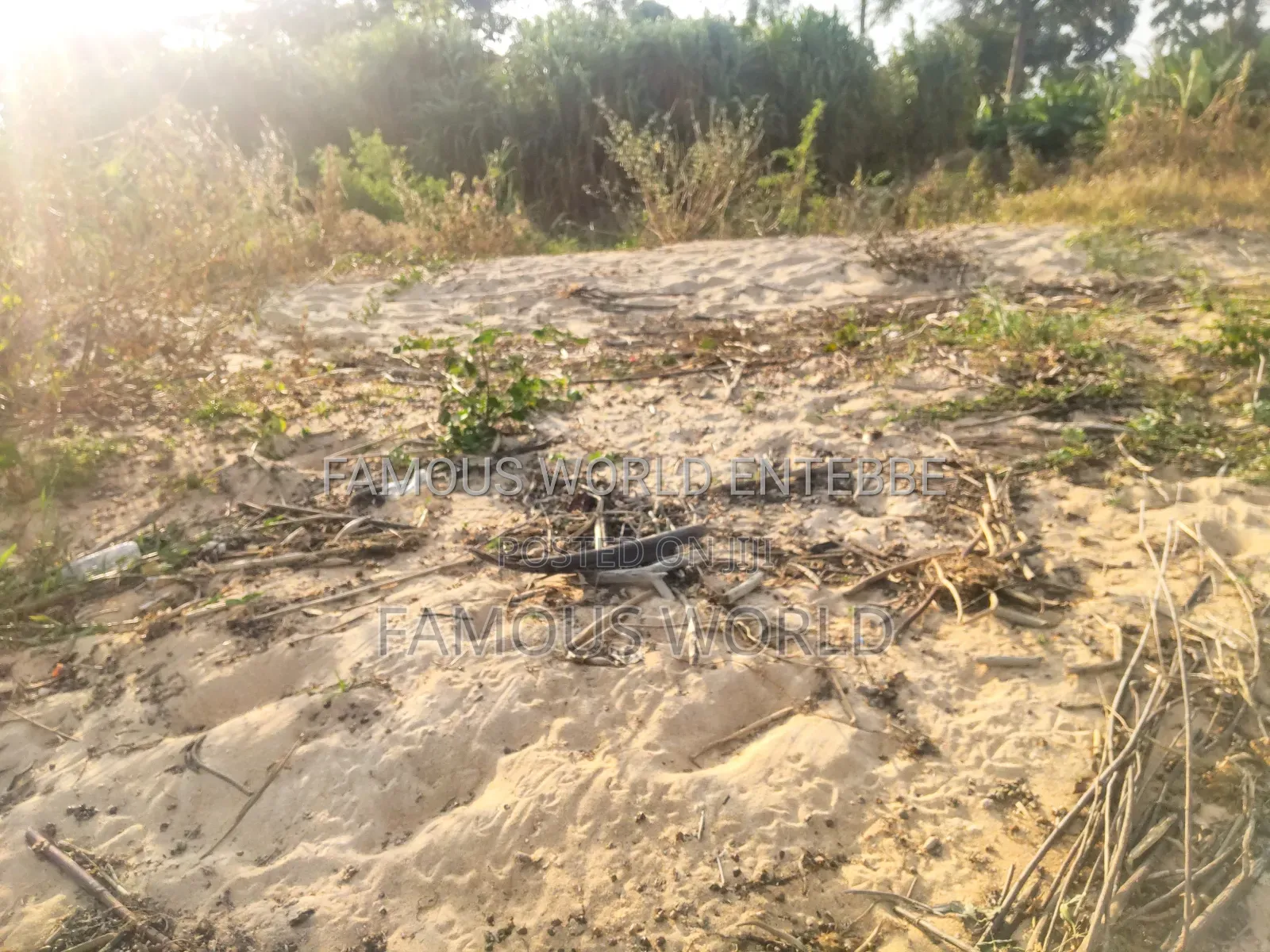 Lake Front Plots On Sale In Bussi Island Along Entebbe Cit in Kasanje