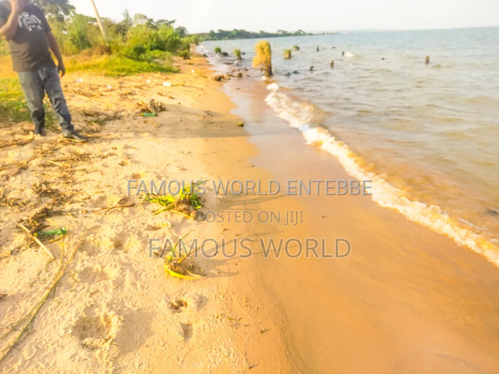 Lake Front Plots On Sale In Bussi Island Along Entebbe Cit in Kasanje