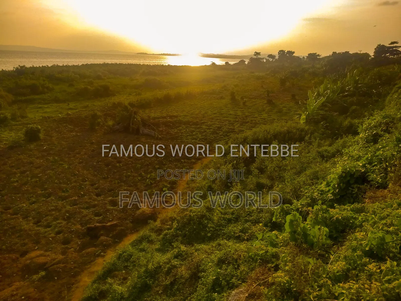 Lake Front Plots On Sale In Bussi Island Along Entebbe Cit in Kasanje