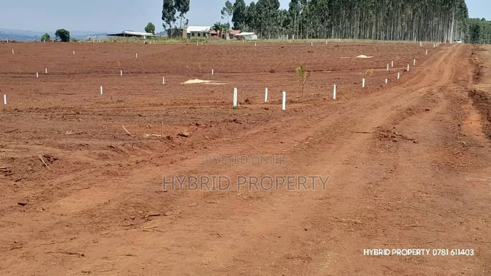 Prime Plots for Sale at Mpigi~Nsamizi Namiryango Hill View Land Estate in Mpigi TC