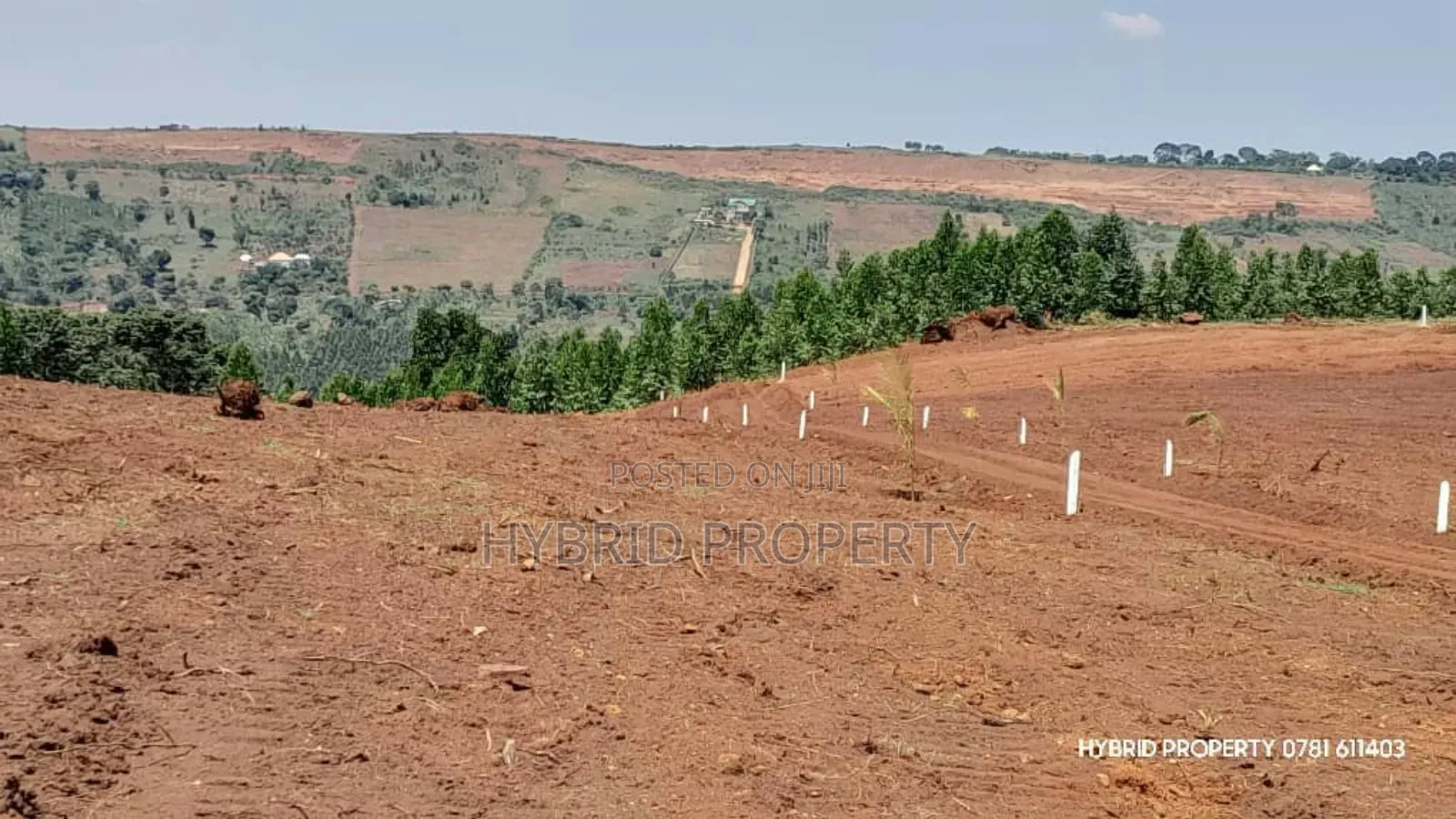 Prime Plots for Sale at Mpigi~Nsamizi Namiryango Hill View Land Estate in Mpigi TC