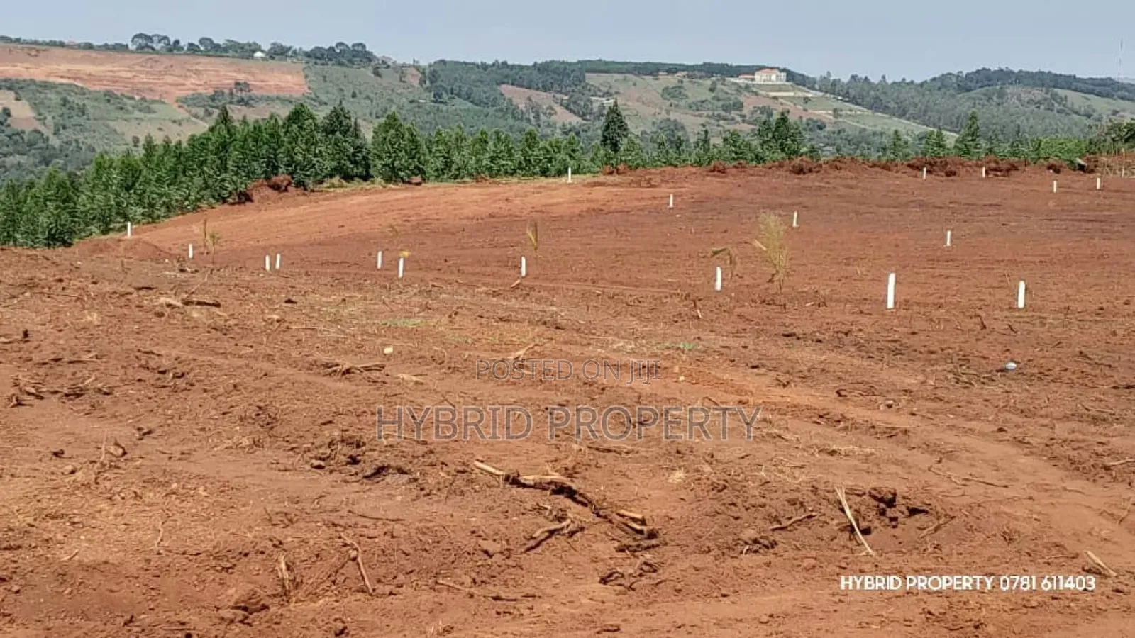 Prime Plots for Sale at Mpigi~Nsamizi Namiryango Hill View Land Estate in Mpigi TC