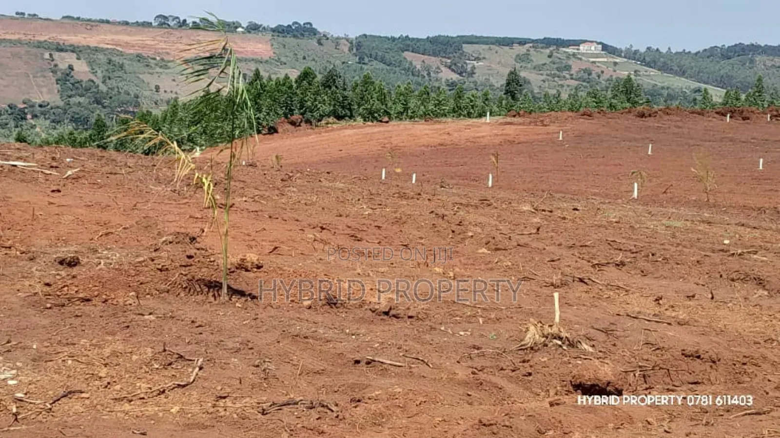 Prime Plots for Sale at Mpigi~Nsamizi Namiryango Hill View Land Estate in Mpigi TC