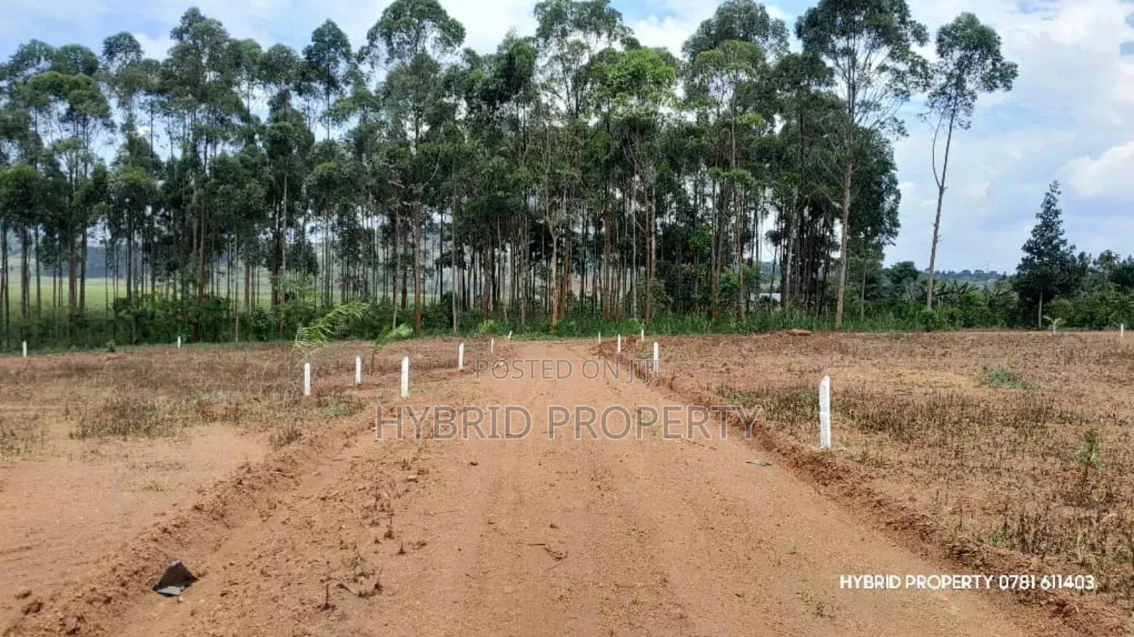 Prime Plots for Sale at Mpambire~Bubuule Land Estate Along Masaka Road in Mpigi TC