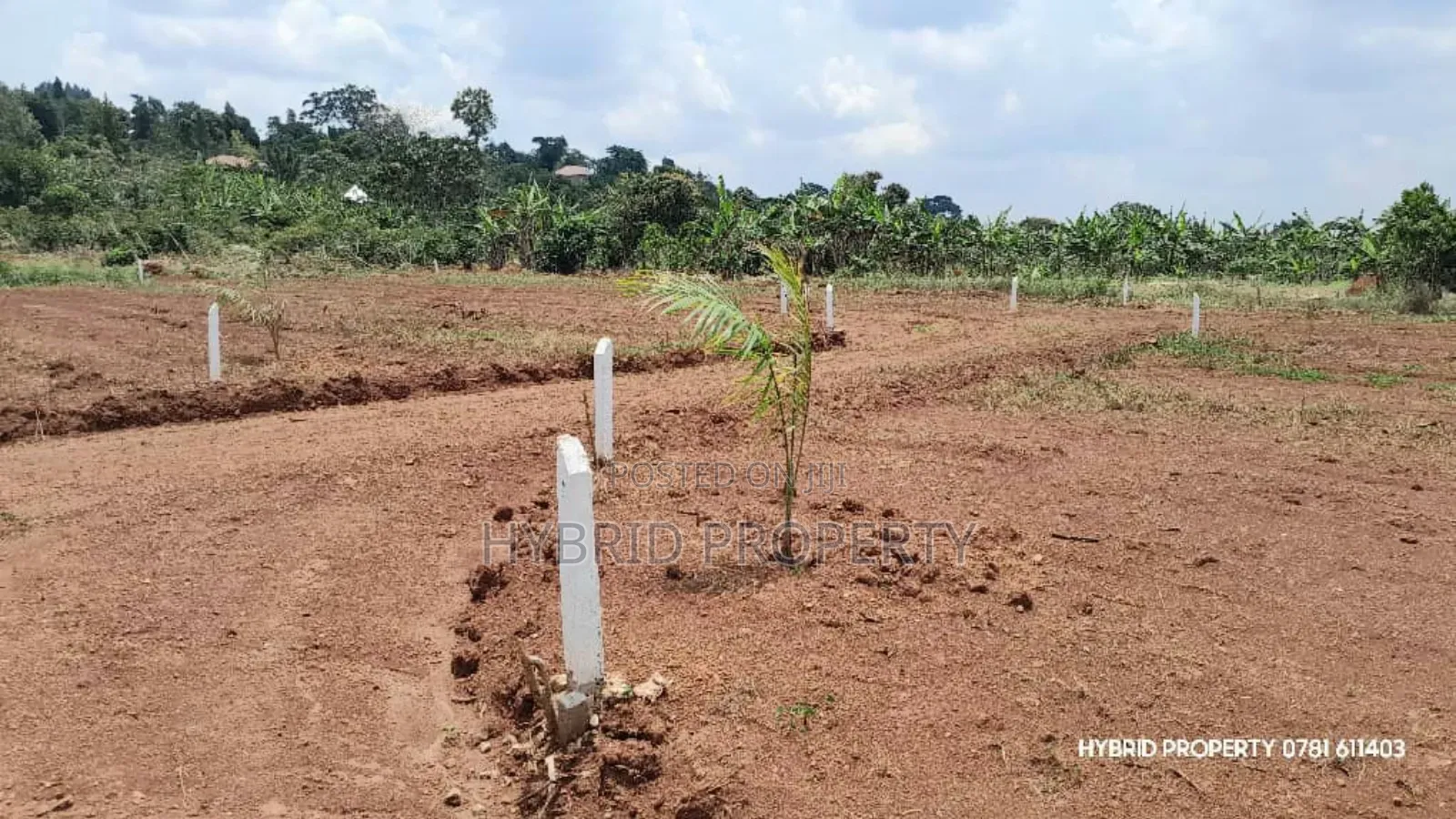 Prime Plots for Sale at Mpambire~Bubuule Land Estate Along Masaka Road in Mpigi TC