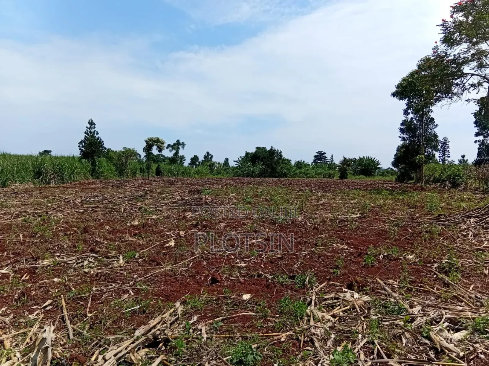 2 Acres Riverfront Land With Small Falls_freehold Title,Jinja City in Jinja