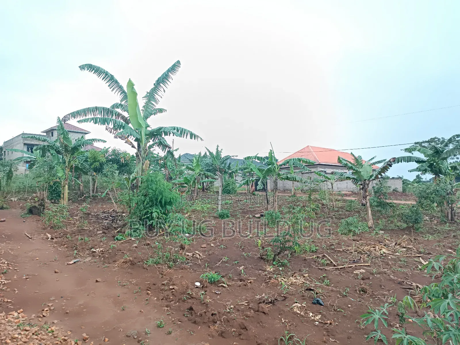 Plot on Quickest Sale in Namugongo Kiwango in Goma