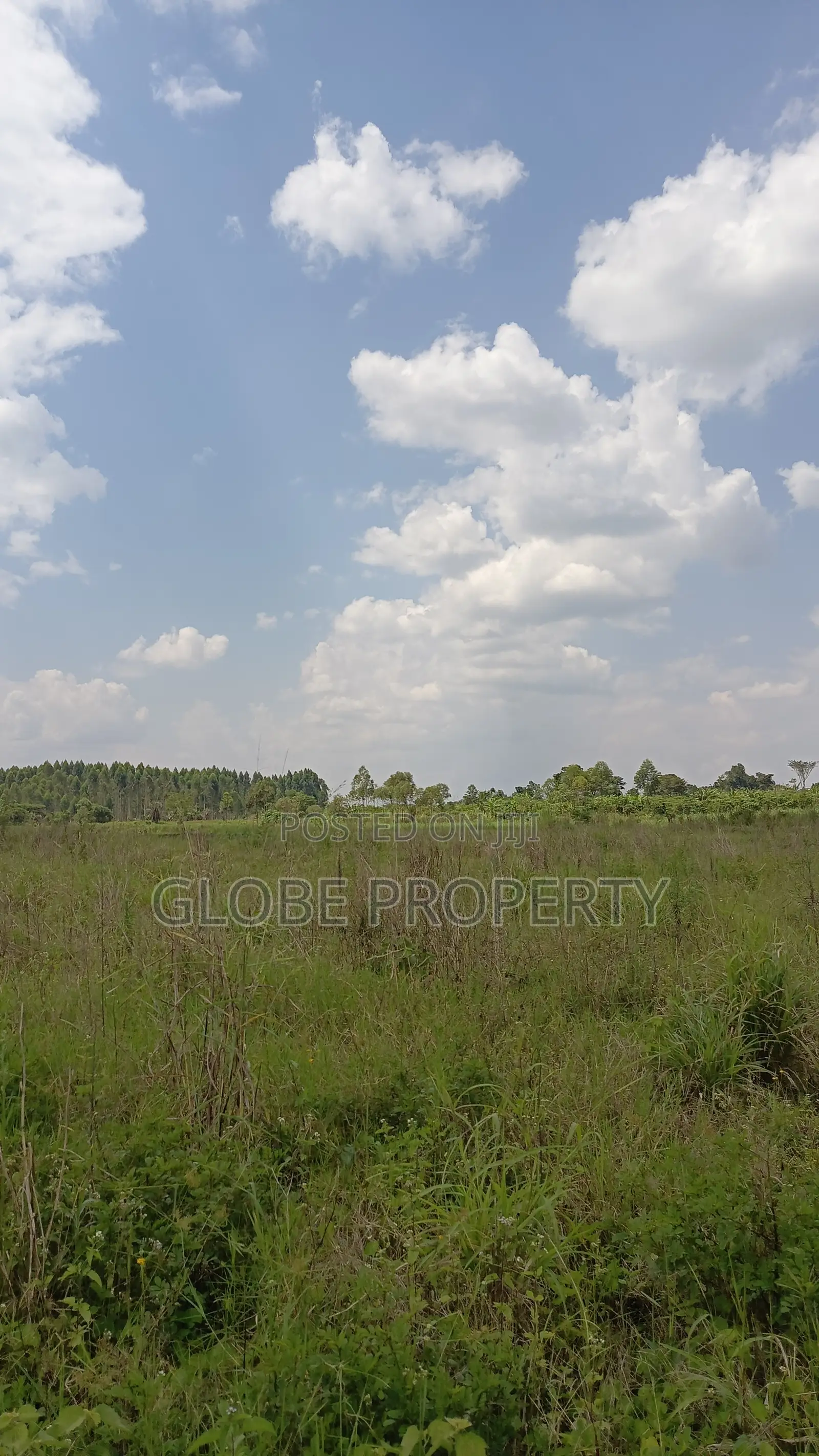 100 Acres of Farmland for Sale in Bbale Kayunga at Ugx 7m Per Acre. in Bbaale