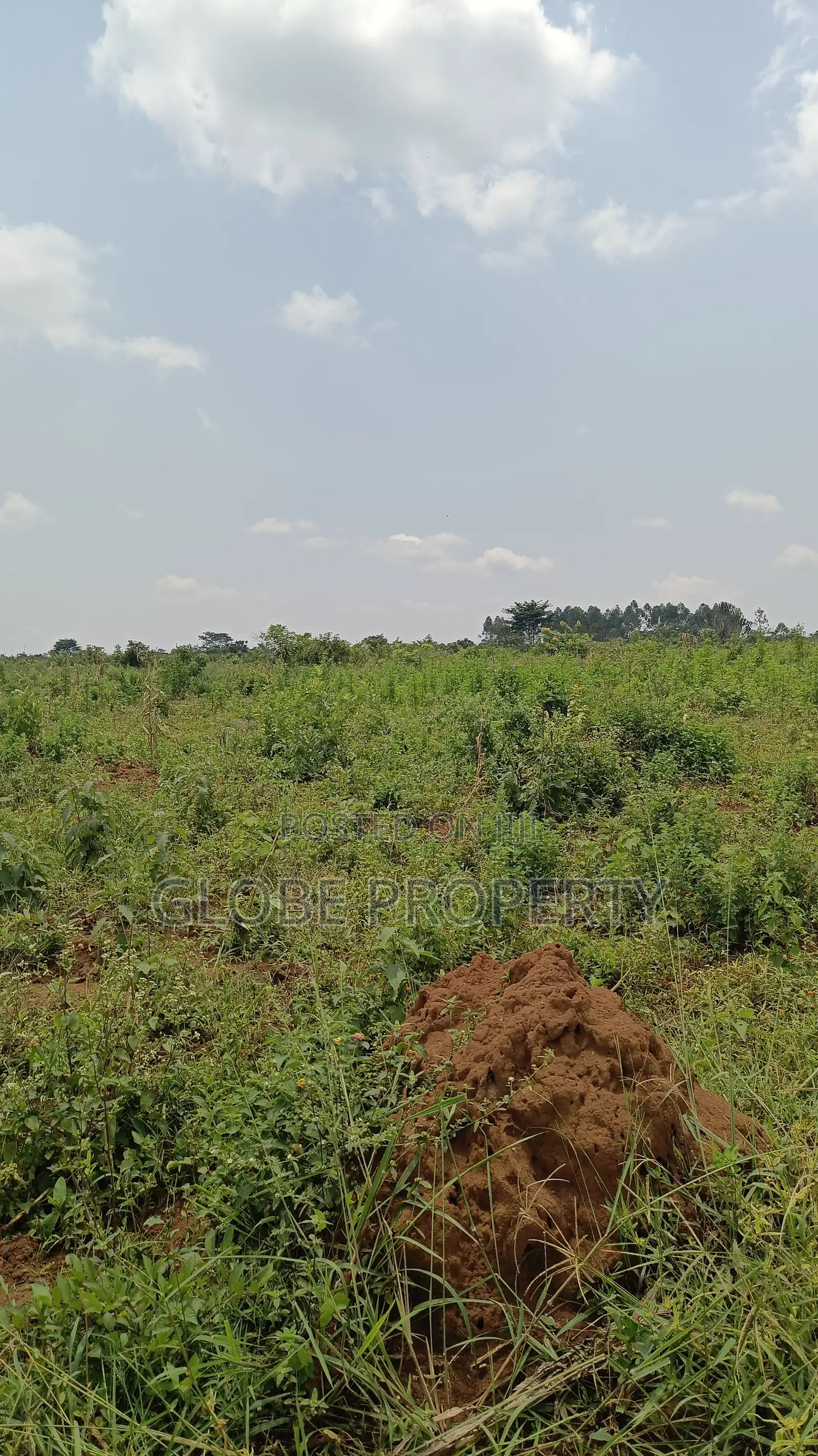 20 Acres of Farm Land for Sale in Bbale at Ugx 7.5m Per Acre in Bbaale