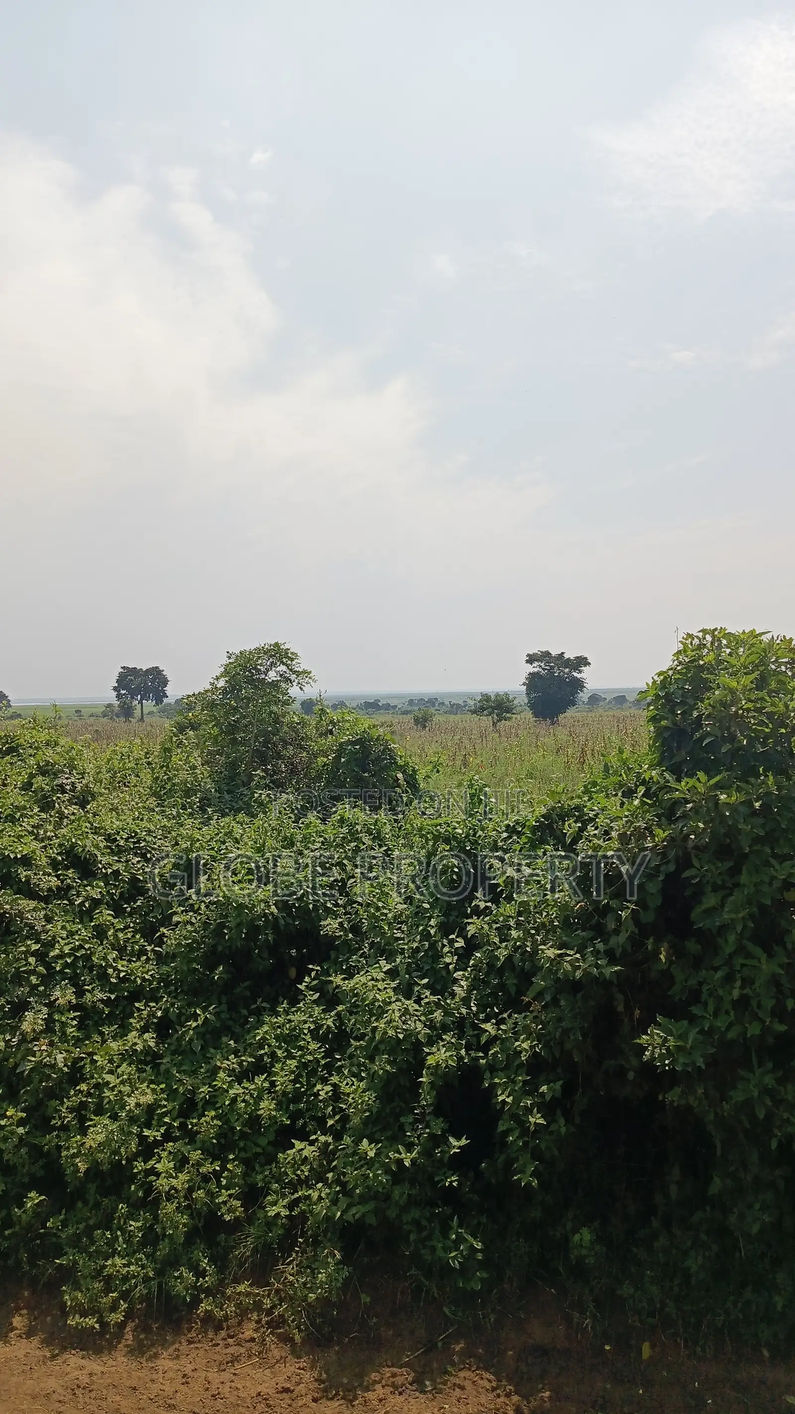 1 Square Mile of Farm Land for Sale in Kayunga at Only 6.5m Owr Acre in Bbaale