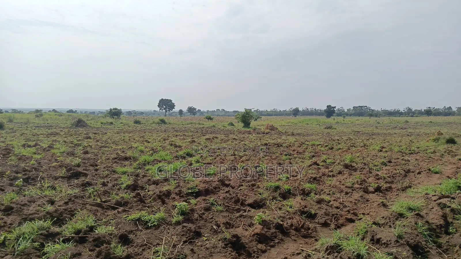 1 Square Mile of Farm Land for Sale in Kayunga at Only 6.5m Owr Acre in Bbaale