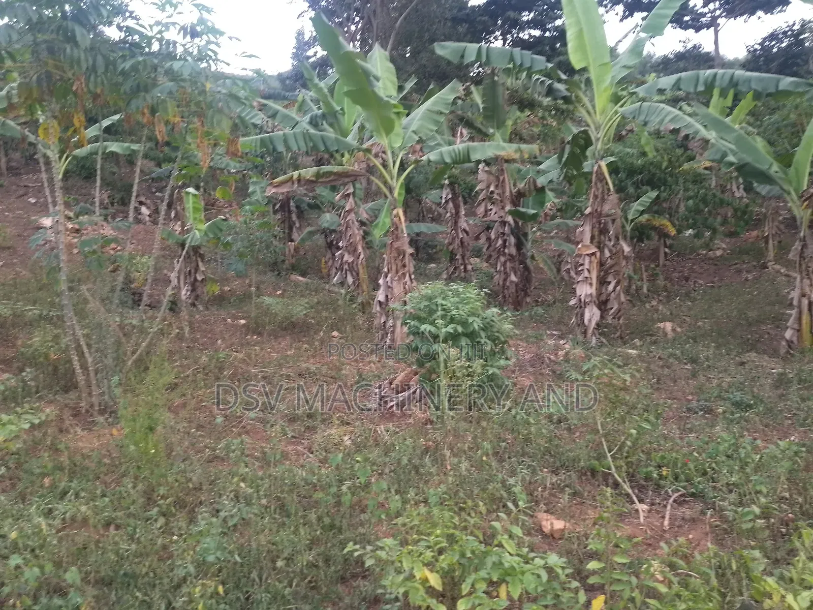 100*100feet/100feet By 100 Feet Plot in Kakiri