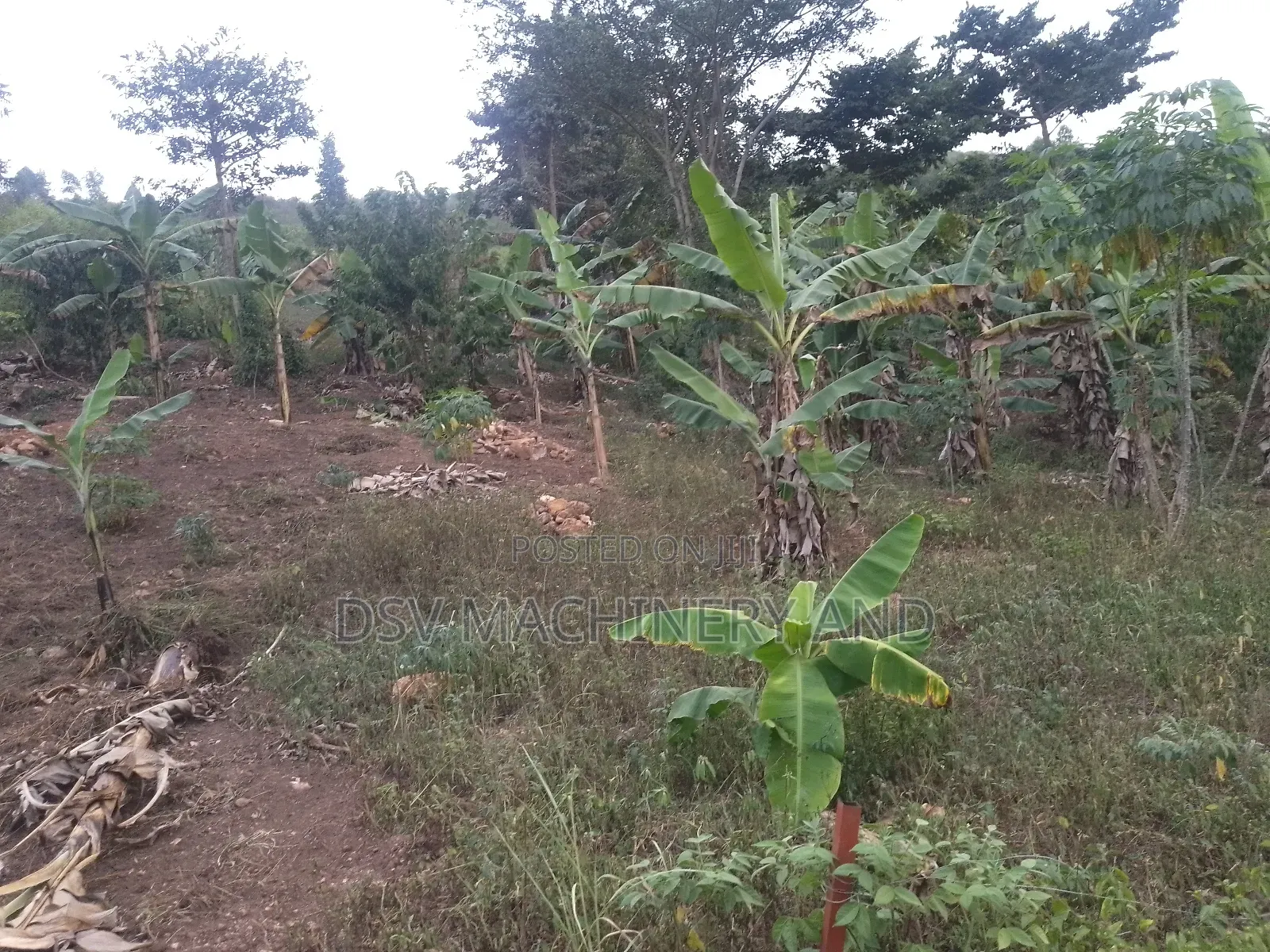 100*100feet/100feet By 100 Feet Plot in Kakiri