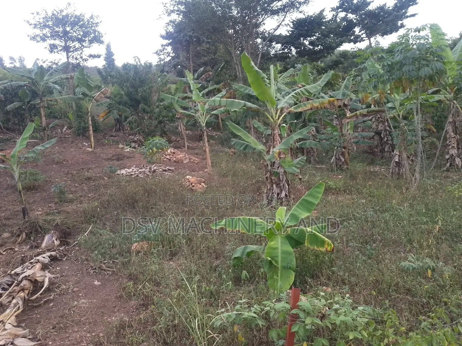100*100feet/100feet By 100 Feet Plot in Kakiri