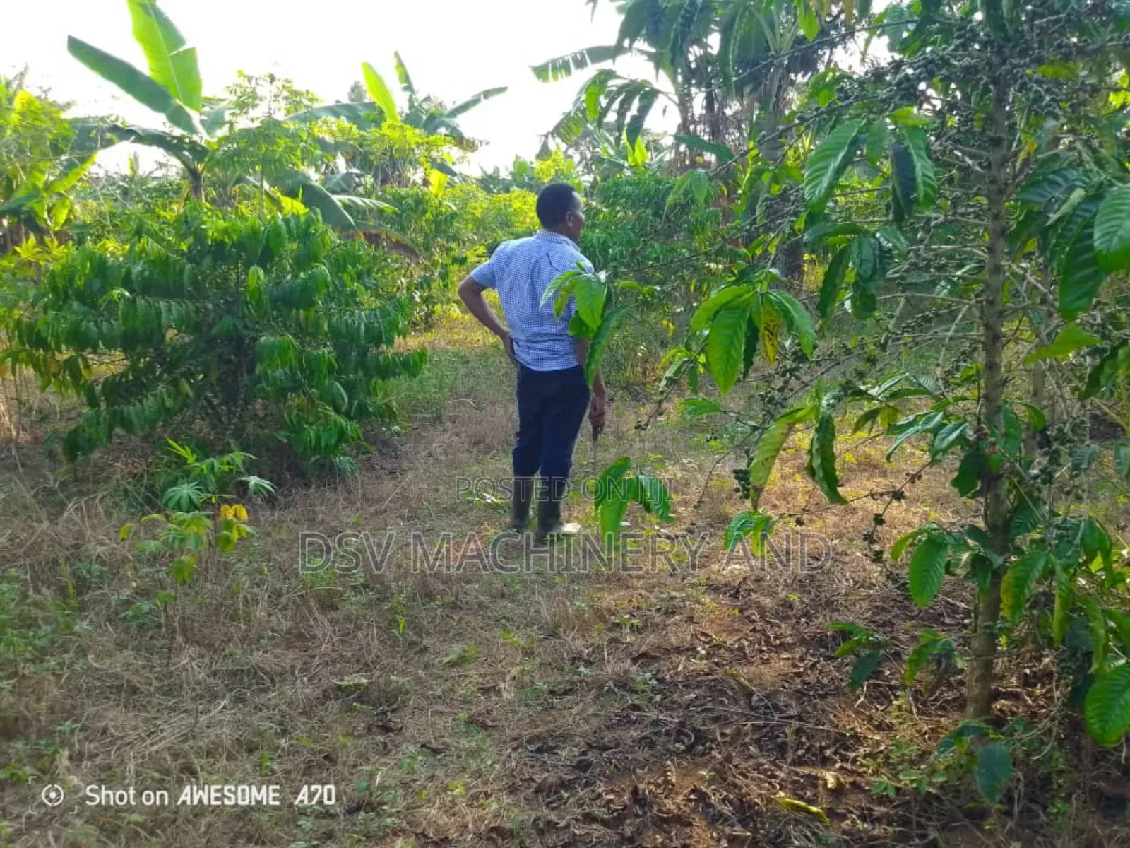 4.8 Acres/480decimals of Land With Title in Rubaga
