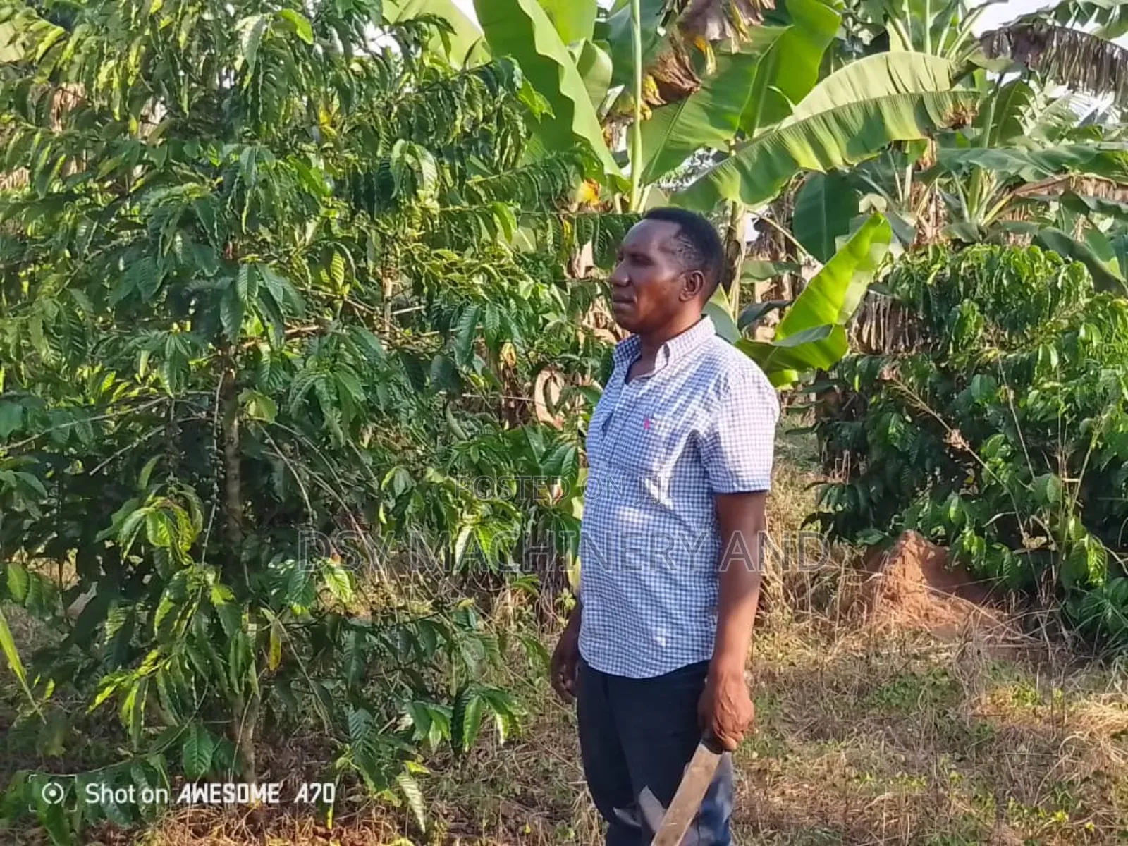 4.8 Acres/480decimals of Land With Title in Rubaga