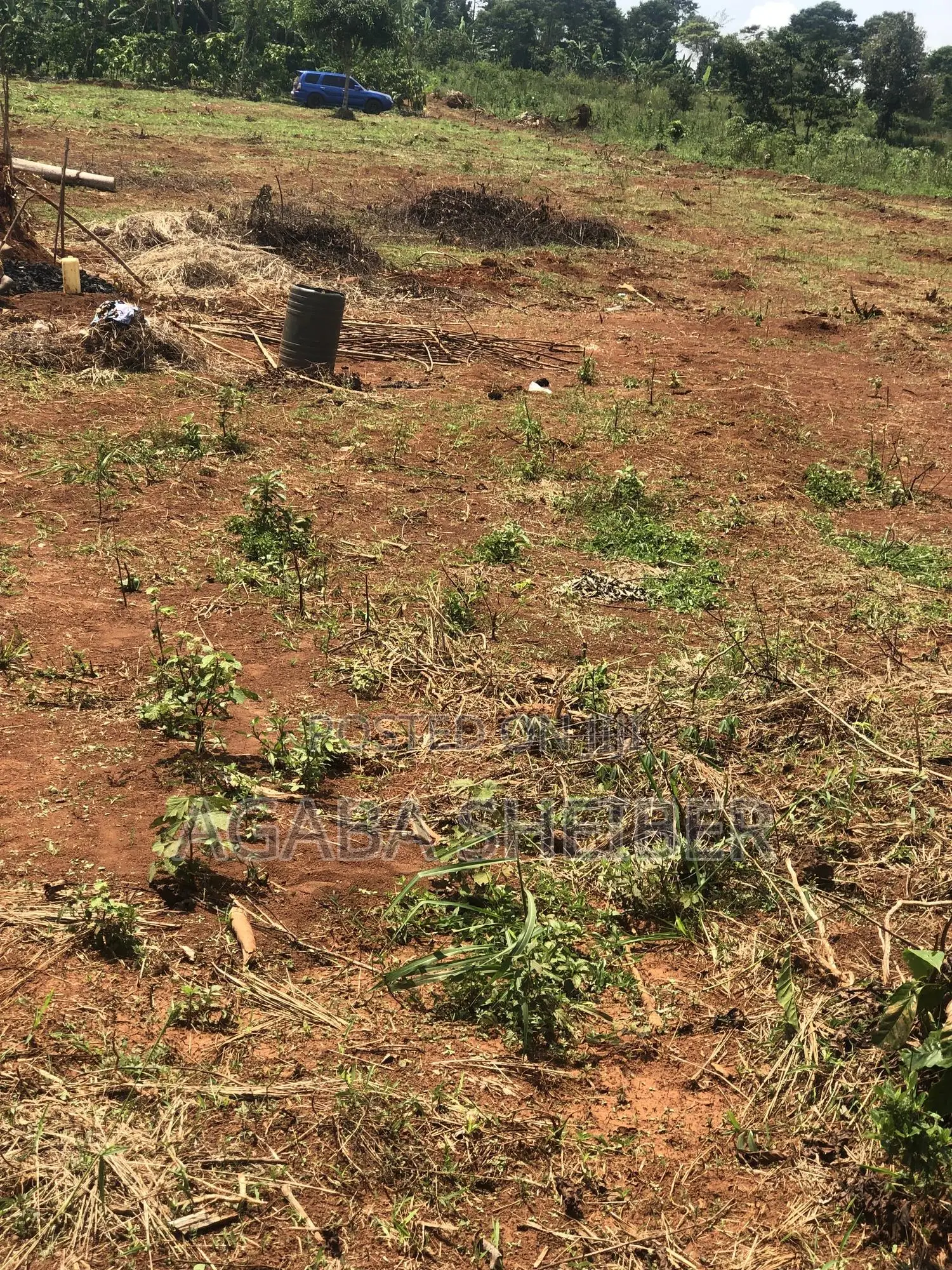 Plots for Sale in Nakisunga