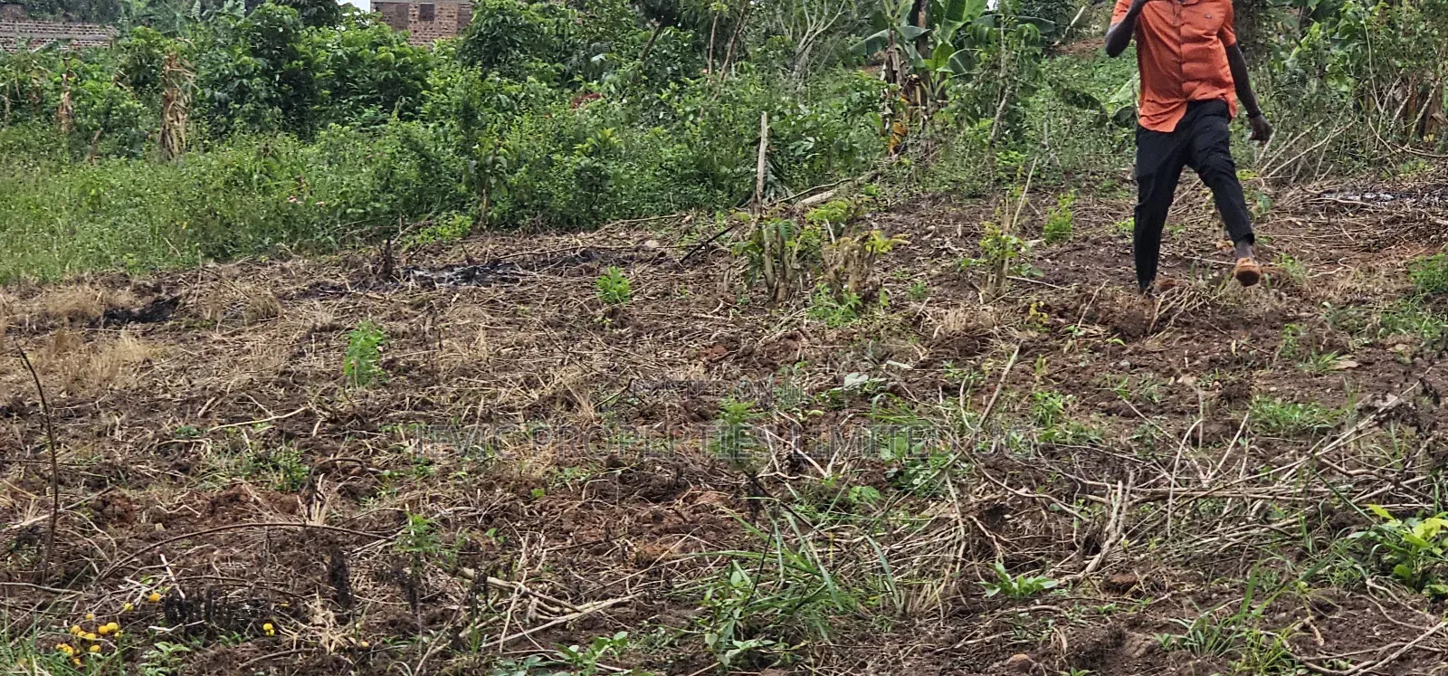 Residential Titled Plot for Quick Sale-Wakiso Gobero in Kakiri
