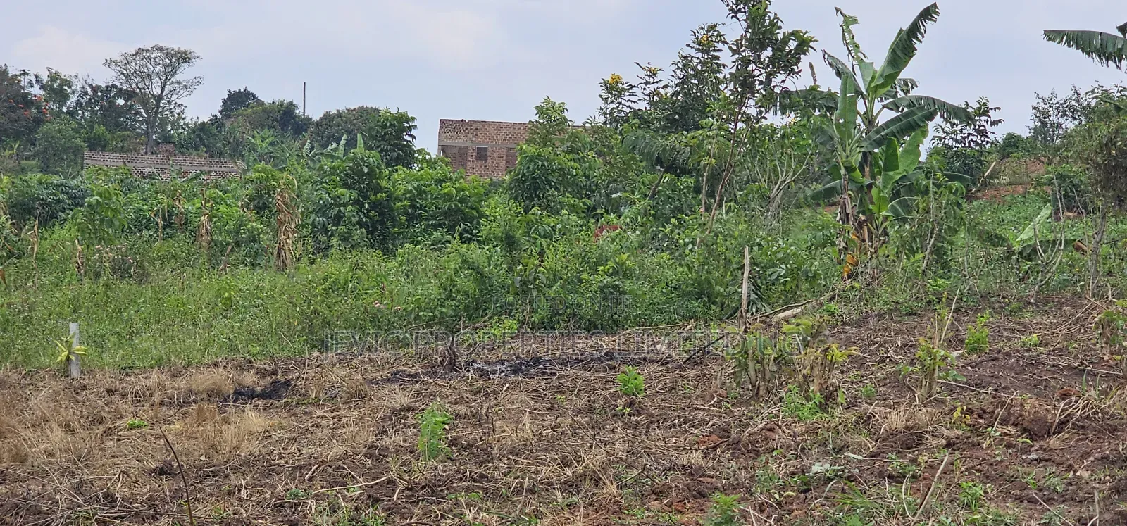 Residential Titled Plot for Quick Sale-Wakiso Gobero in Kakiri